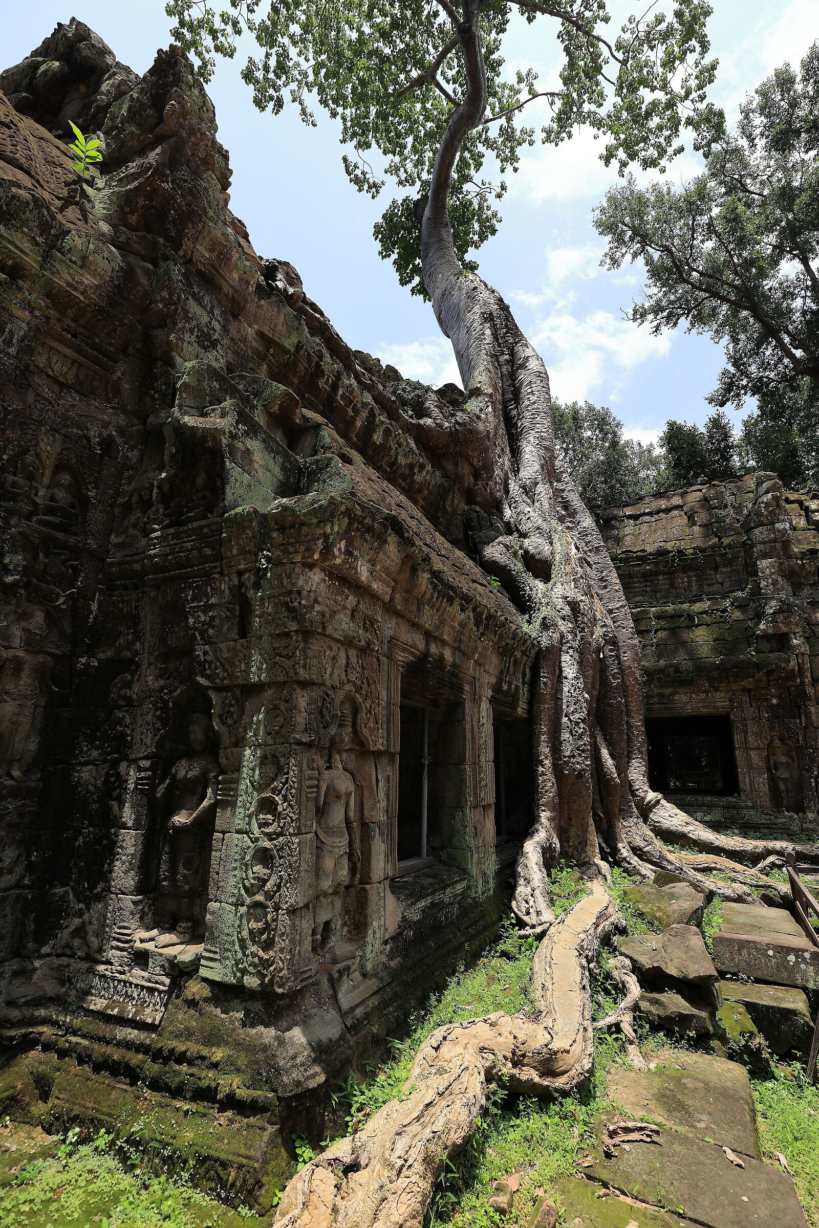 Lo strangolatore di Ta Prohm