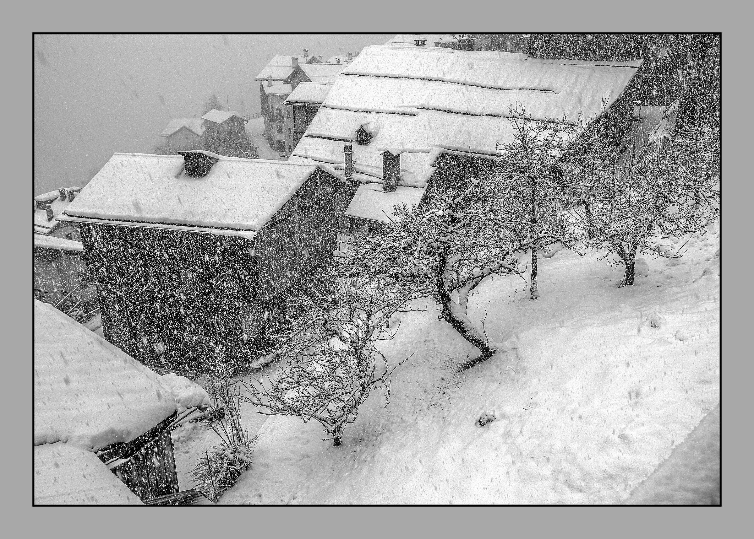 Winter in the small orchard