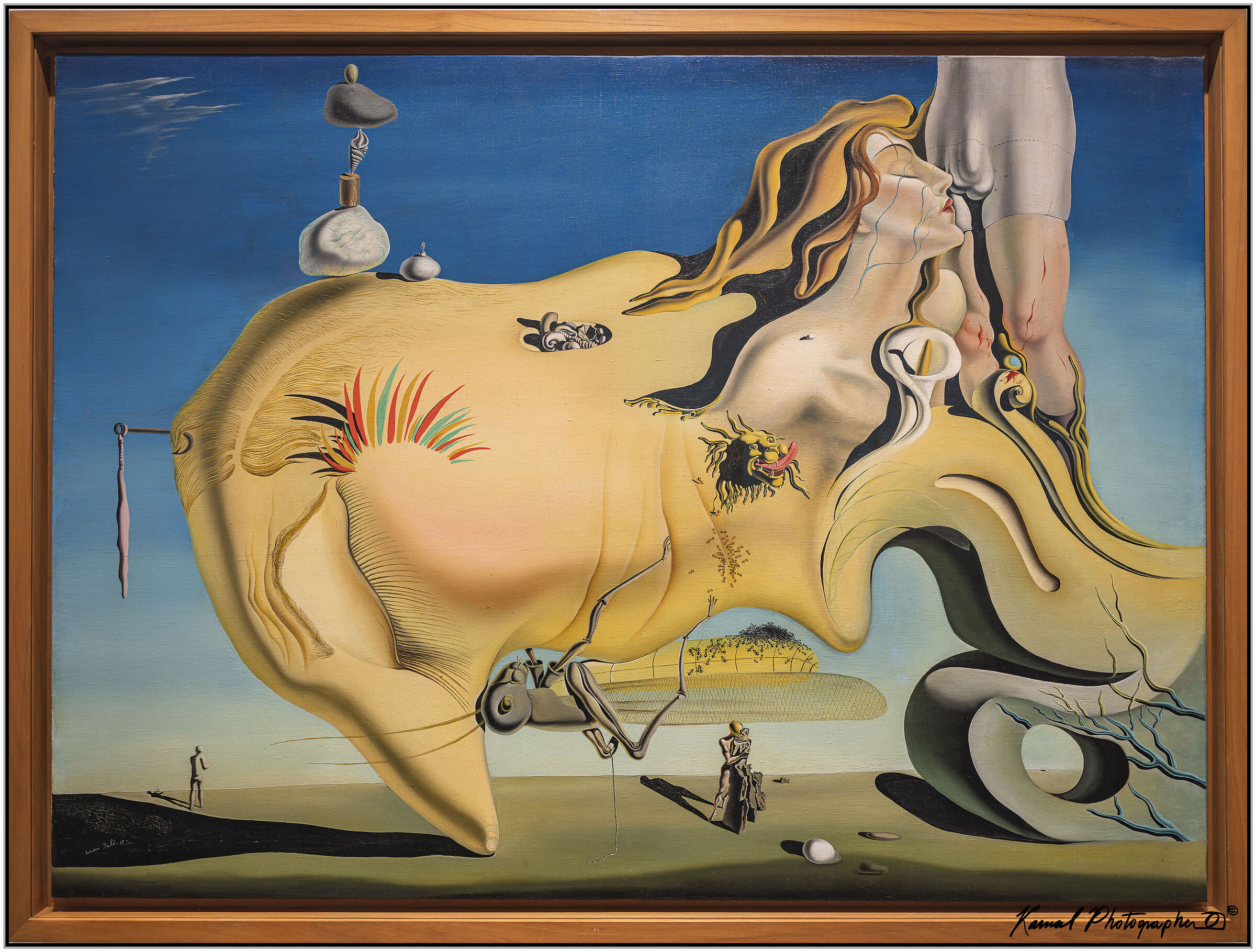 Il grande masturbatore Salvador Dali