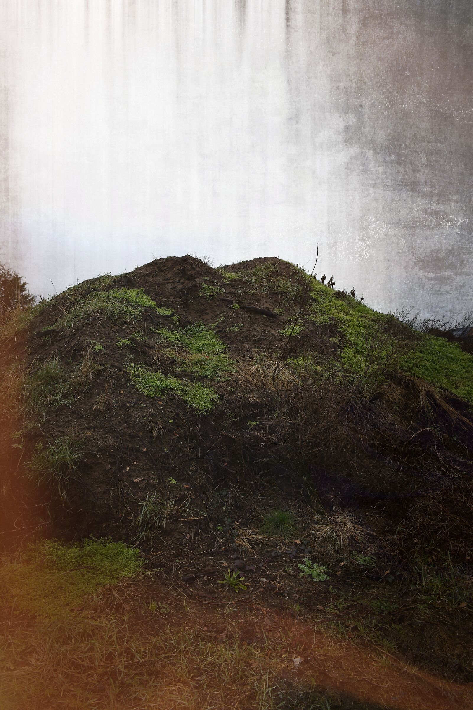Earthy impressions