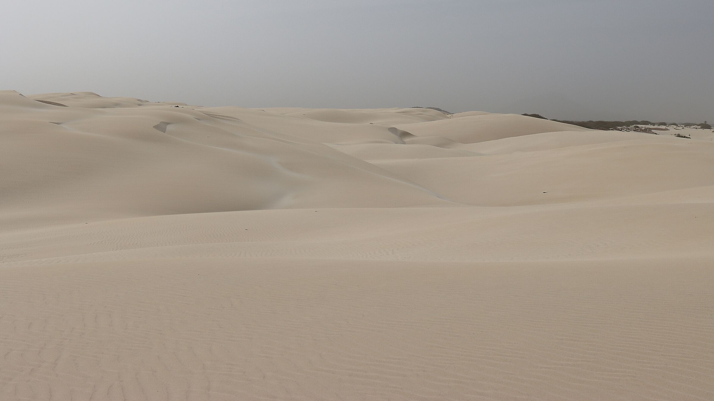 Deserto