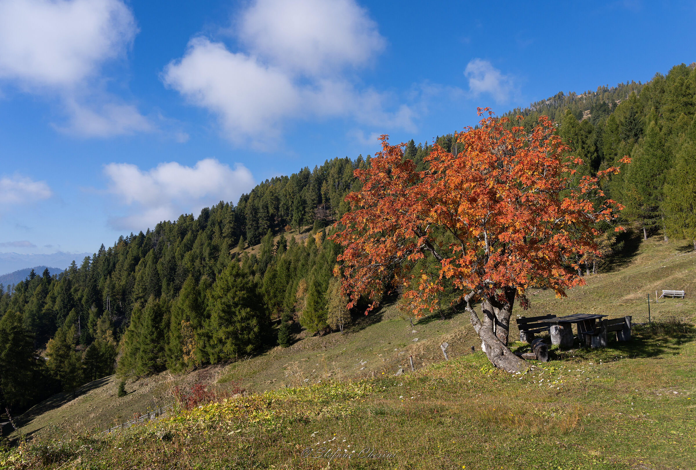Autumn 2025 in Val dei Mocheni