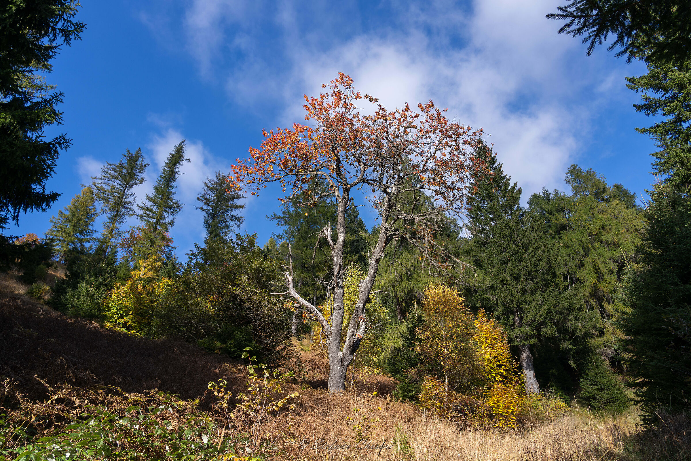 Autunno 2025 bis in Val dei Mocheni