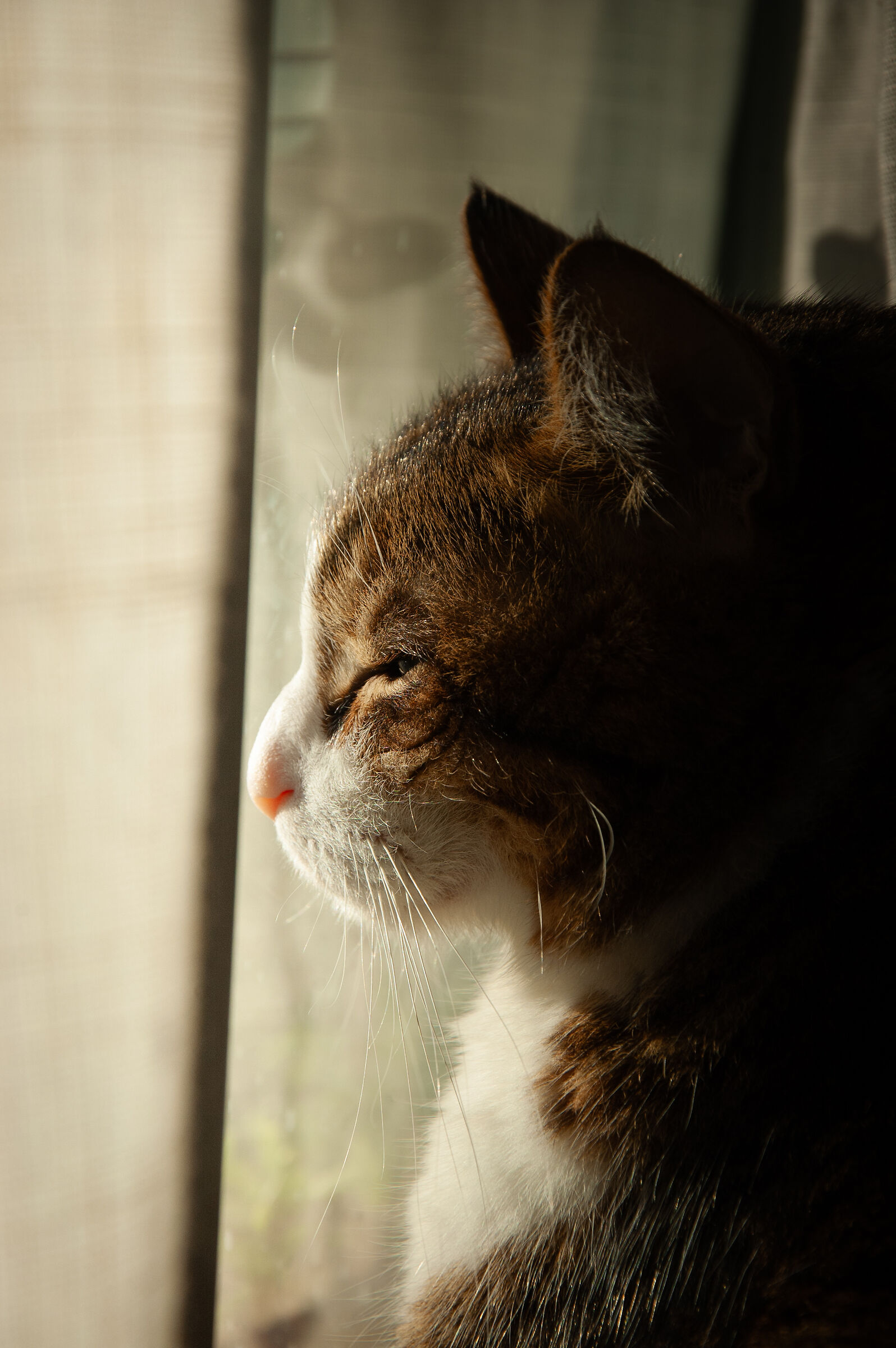 Untitled Photo