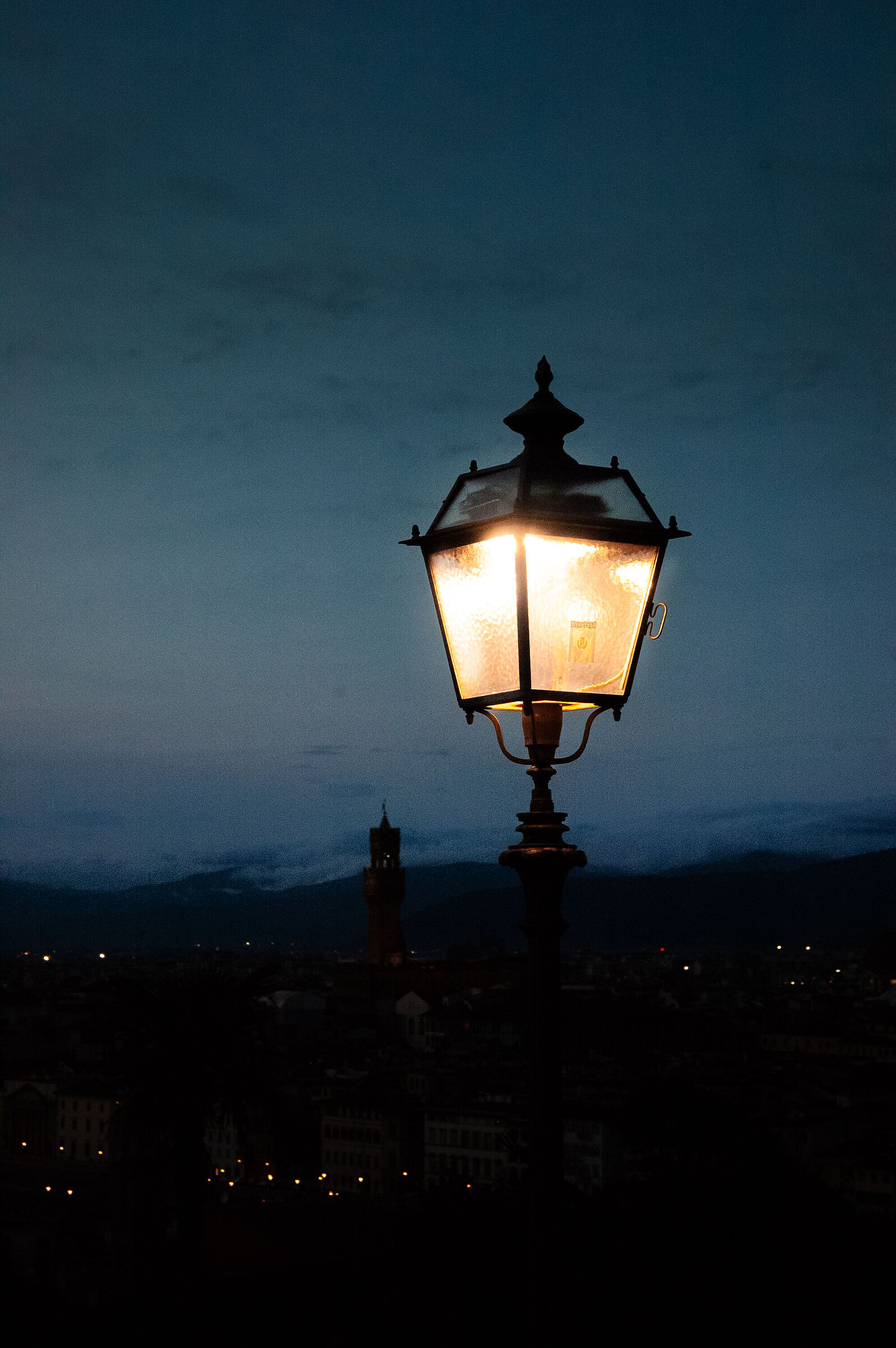 Untitled Photo