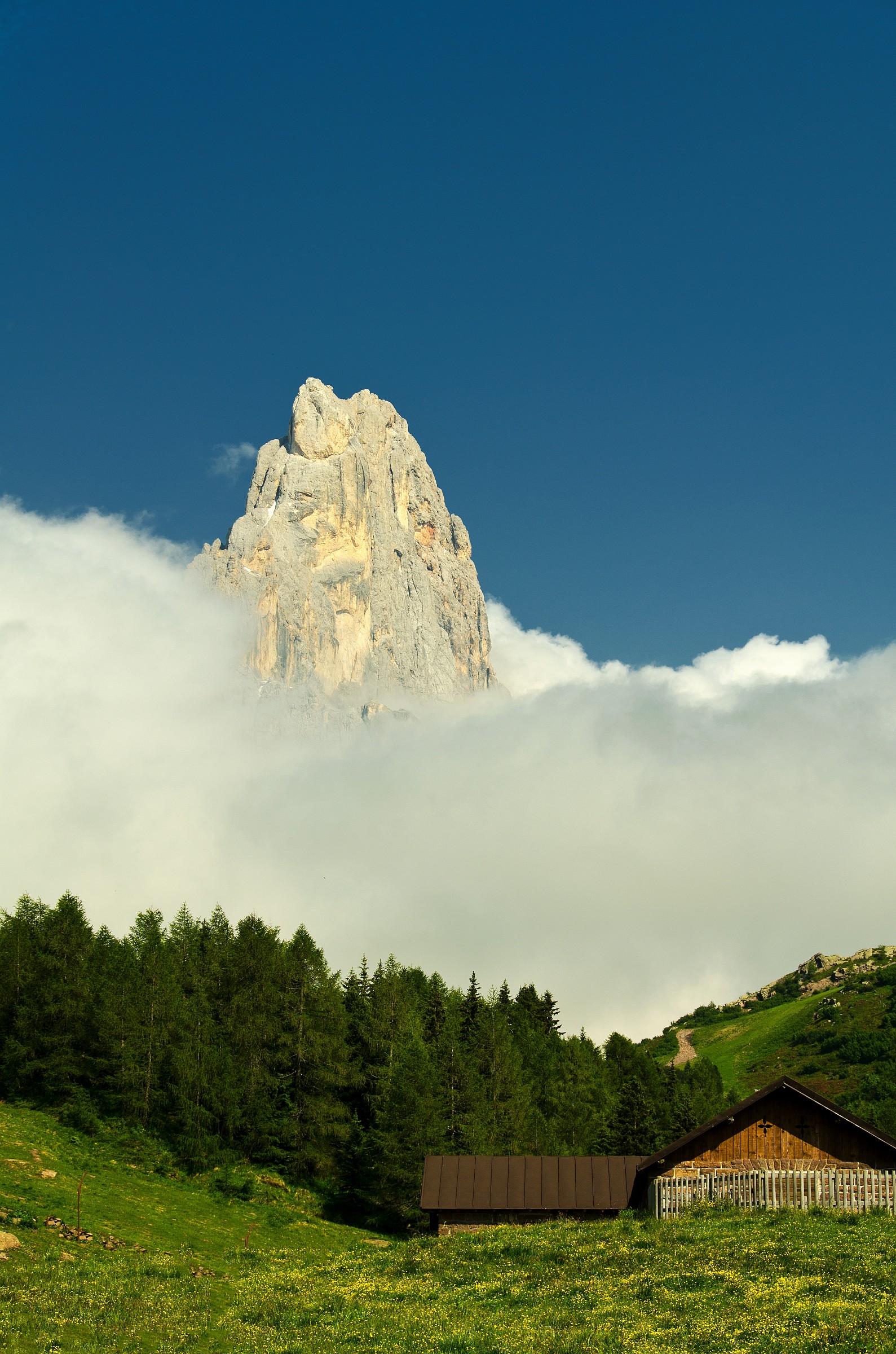 Cimon della Pala at Malga Rolle