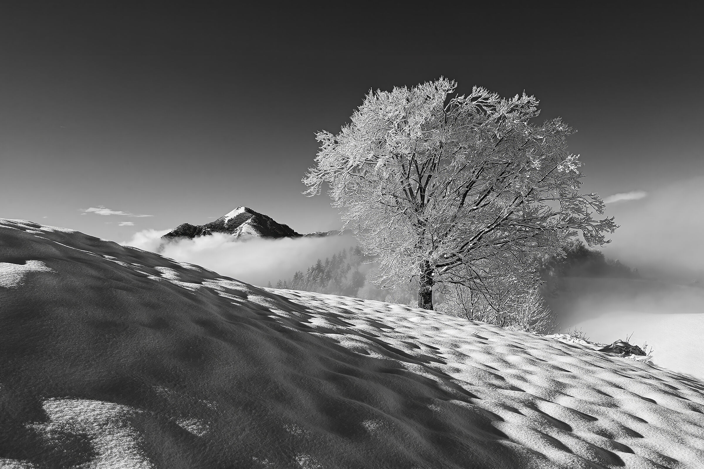 The magic of winter