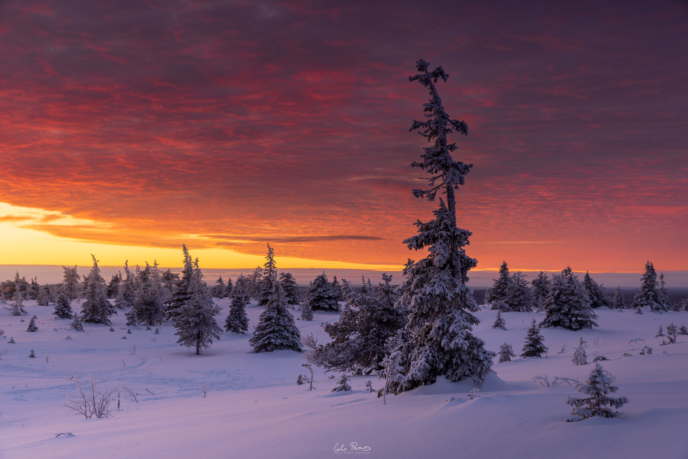 Riisitunturi National Park