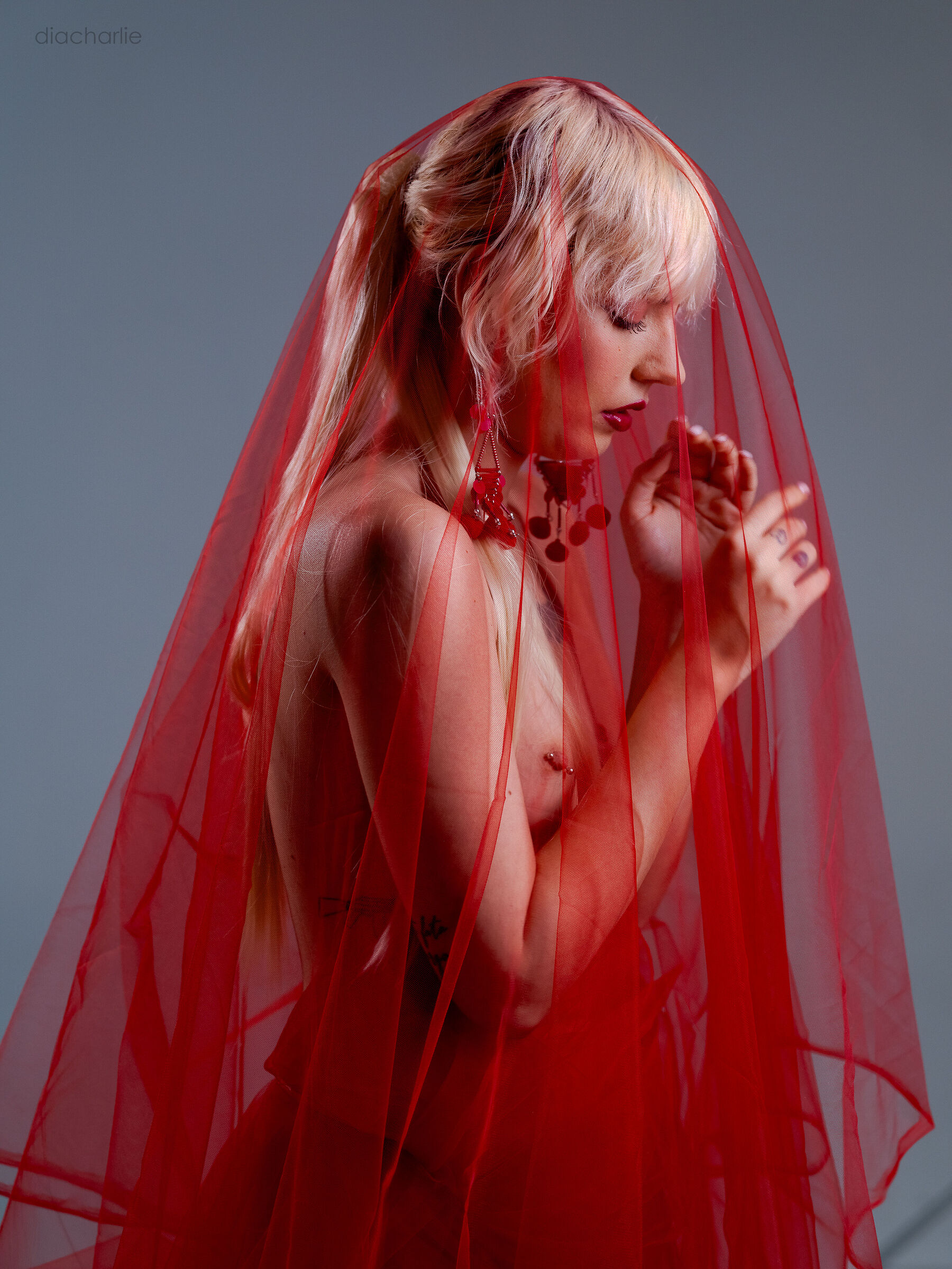 Roxy in Red