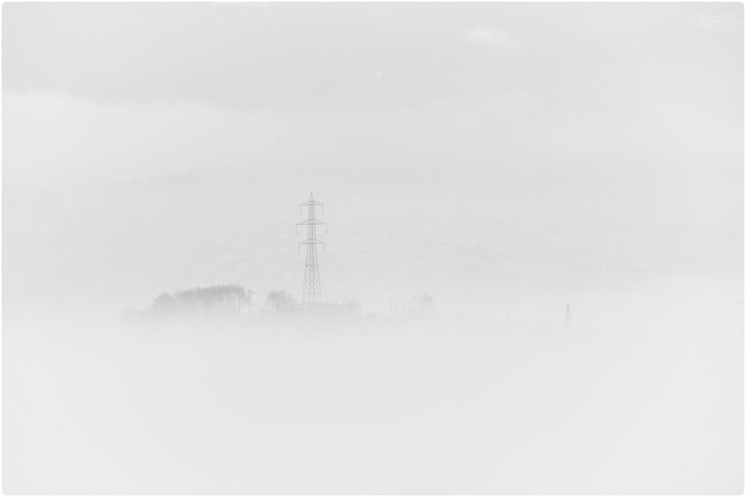 -particular fog-