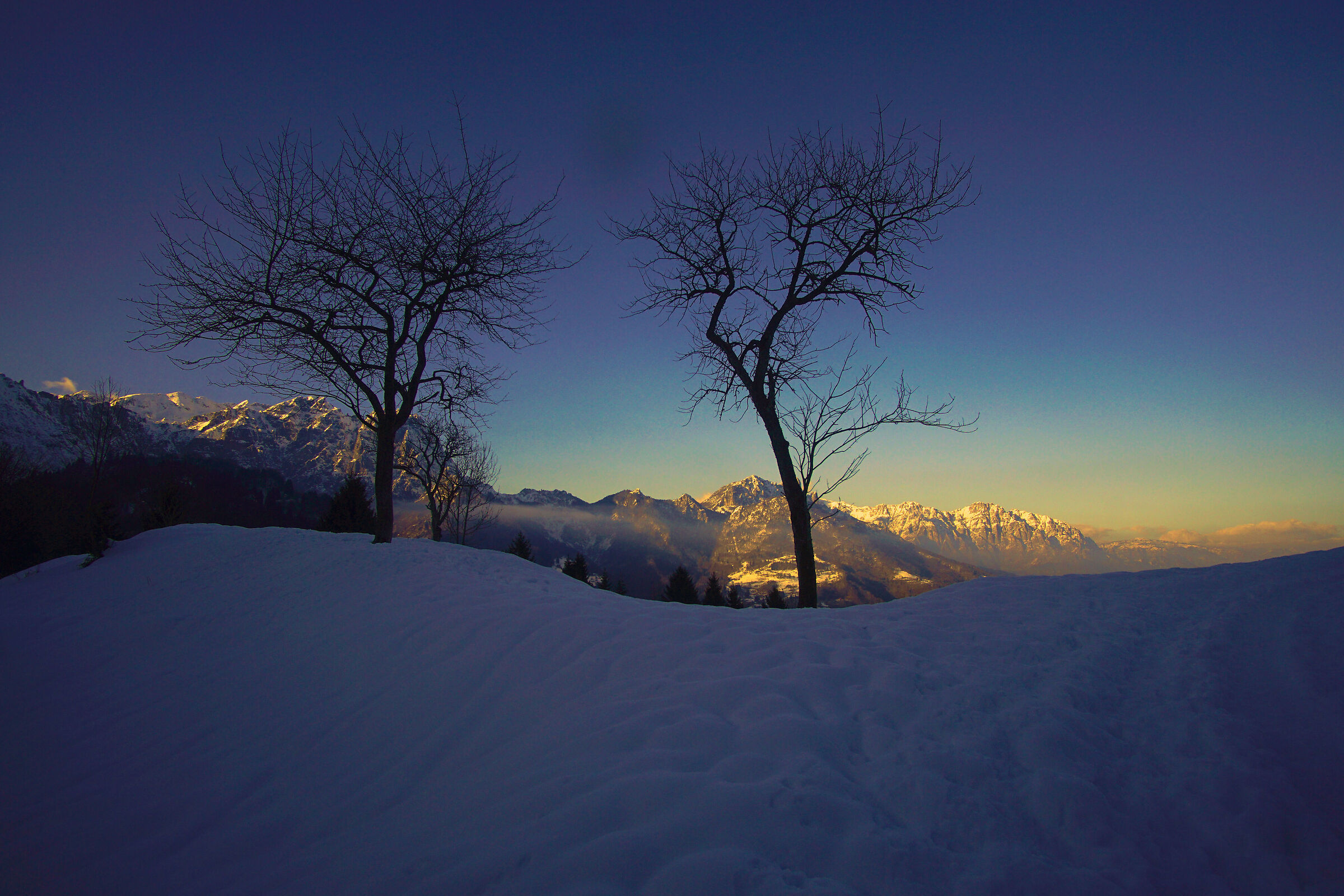 Slopes of Mount Carega . Little Dolomites