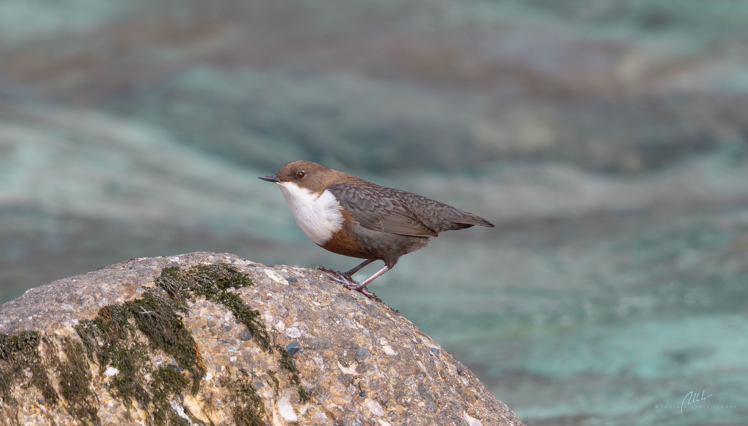 Dipper