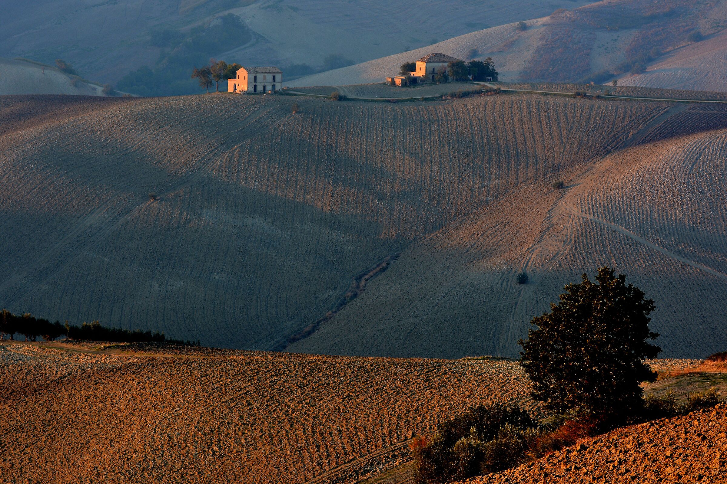 Barren land