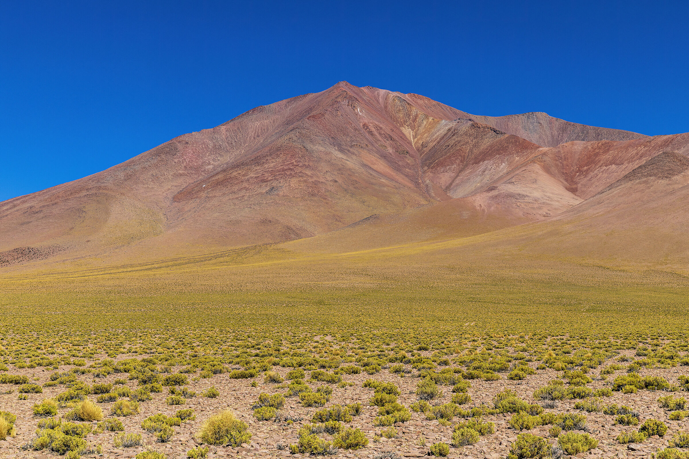 Bolivia. I colorfi delle Ande a 4200 metri