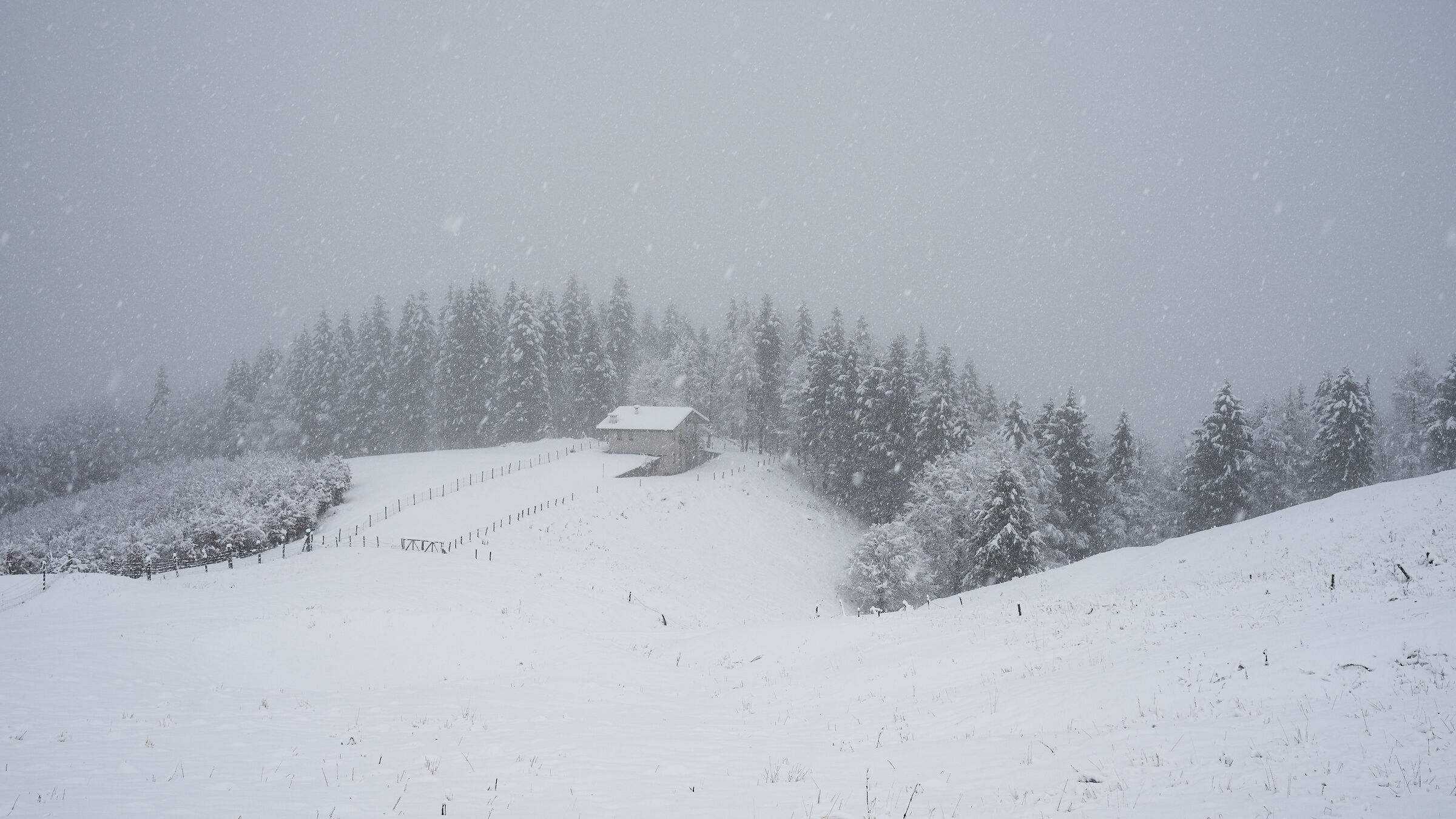 Nevica