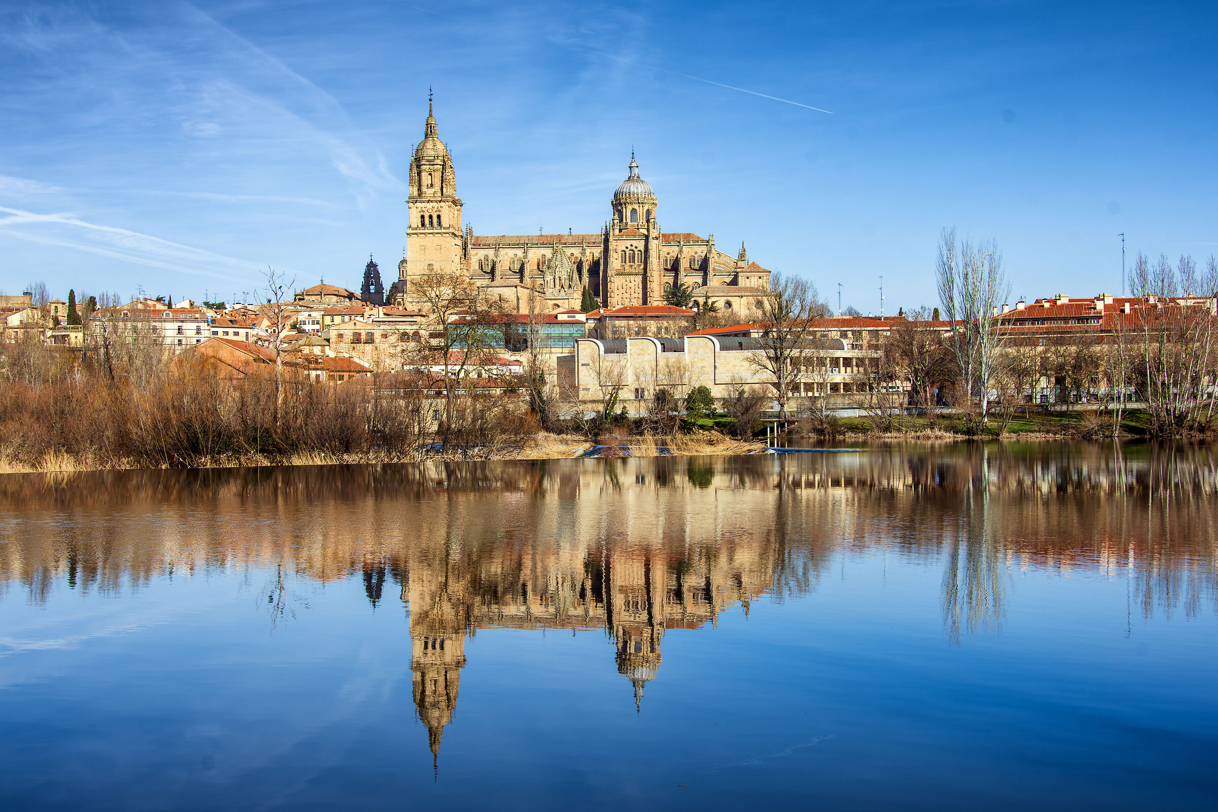 Cattedrale di Salamanca