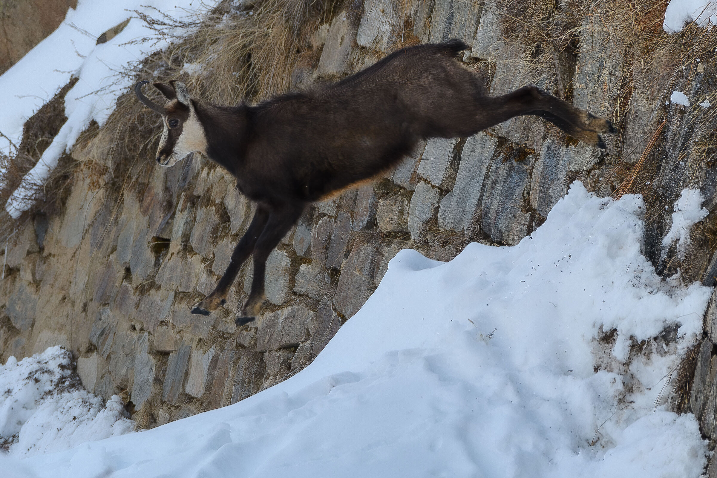 Jump