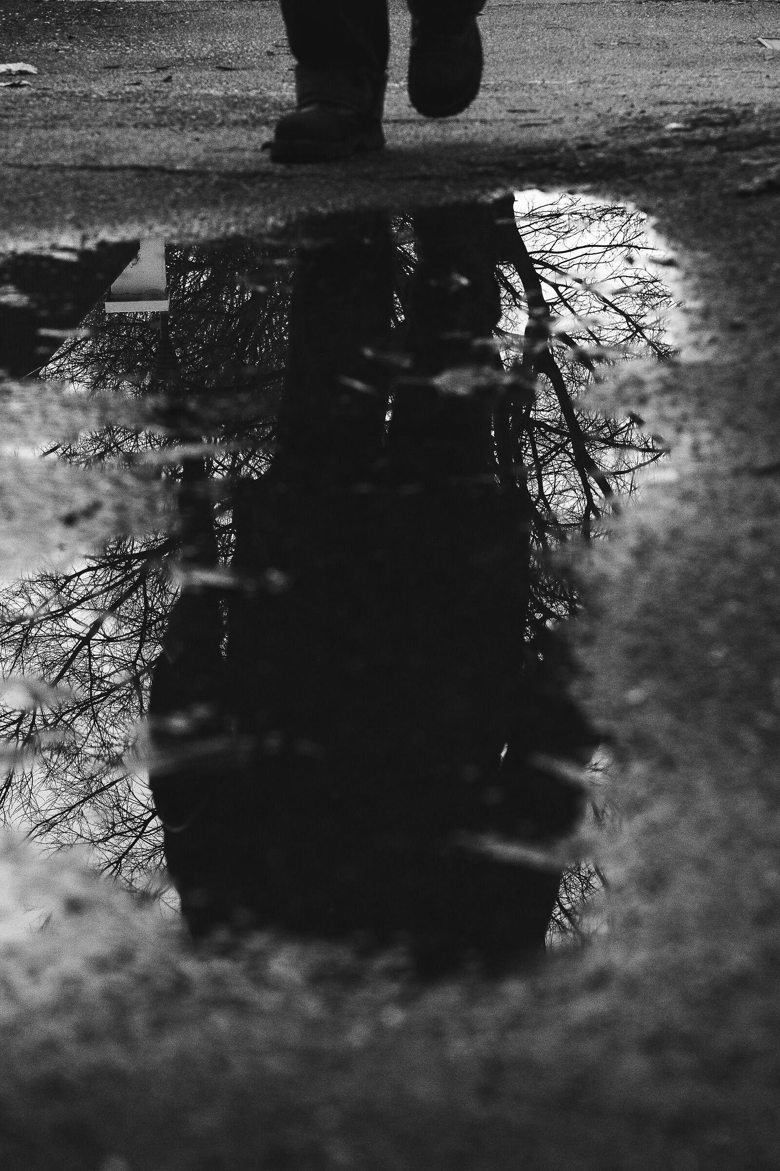 il signore con l'ombrello - inverno