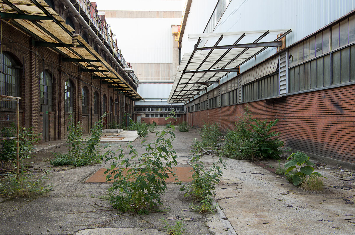 Renovation of Industrial Buildings in the Bicocca District M...