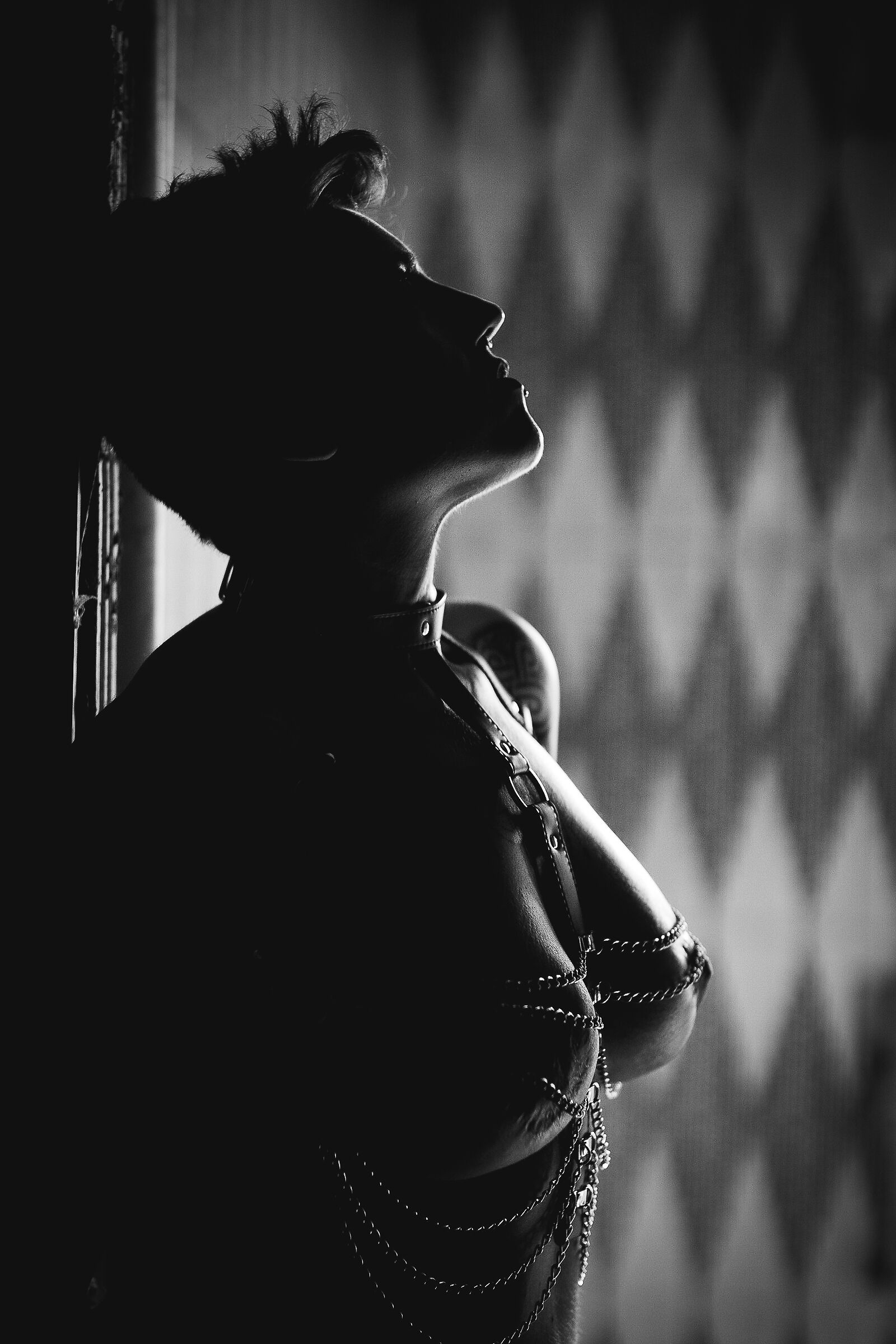 Untitled Photo