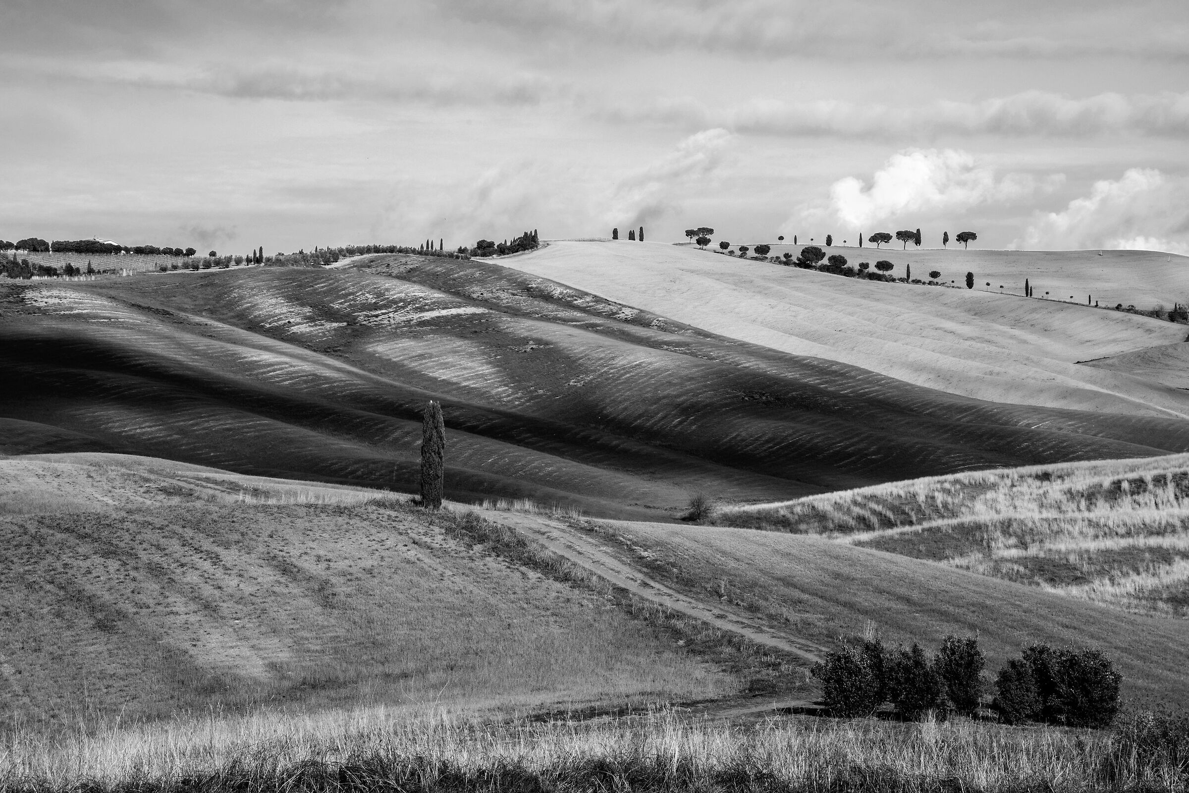 Val d'Orcia