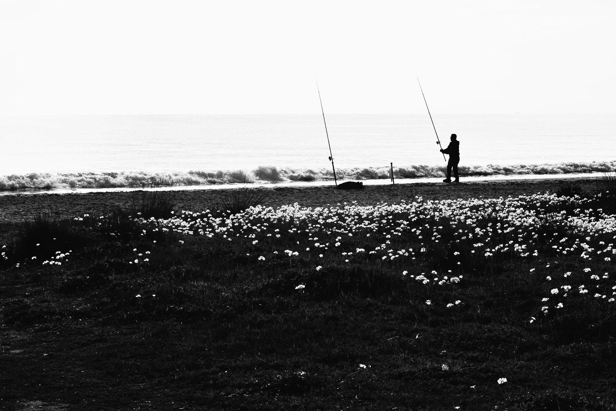Pesca pesca pescatore.....