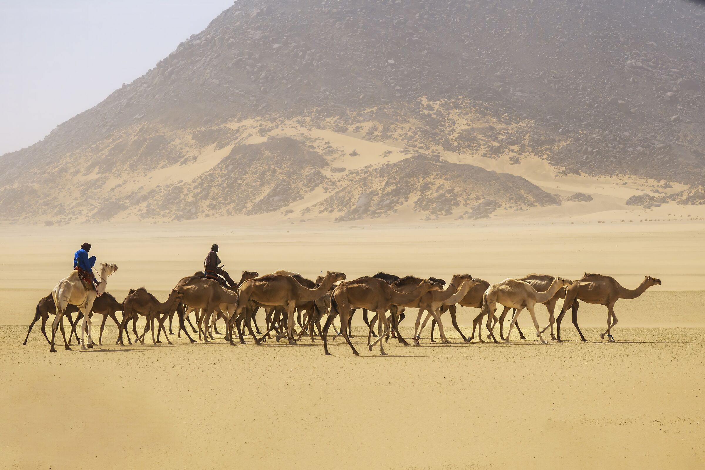 desert
