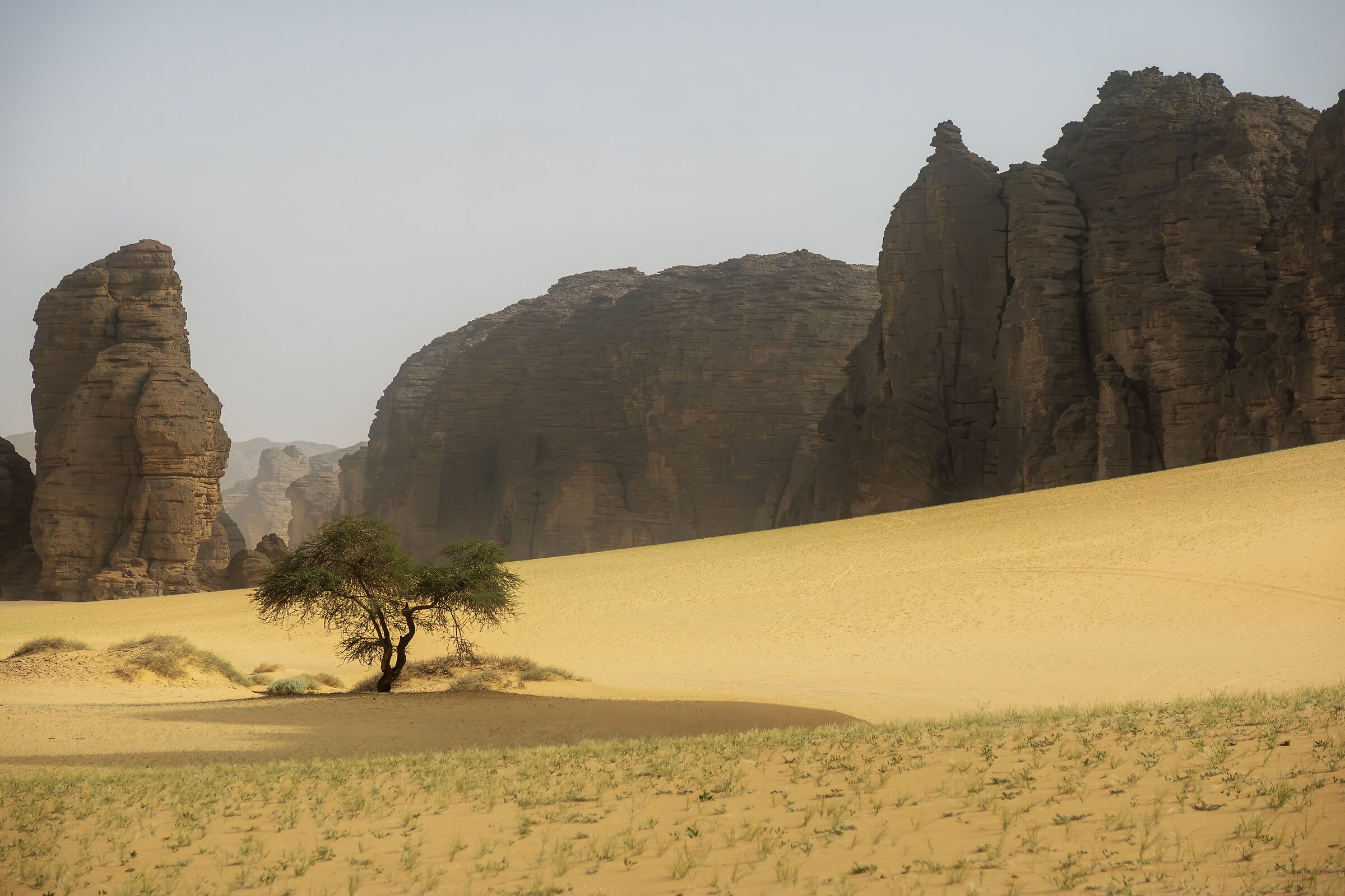 desert
