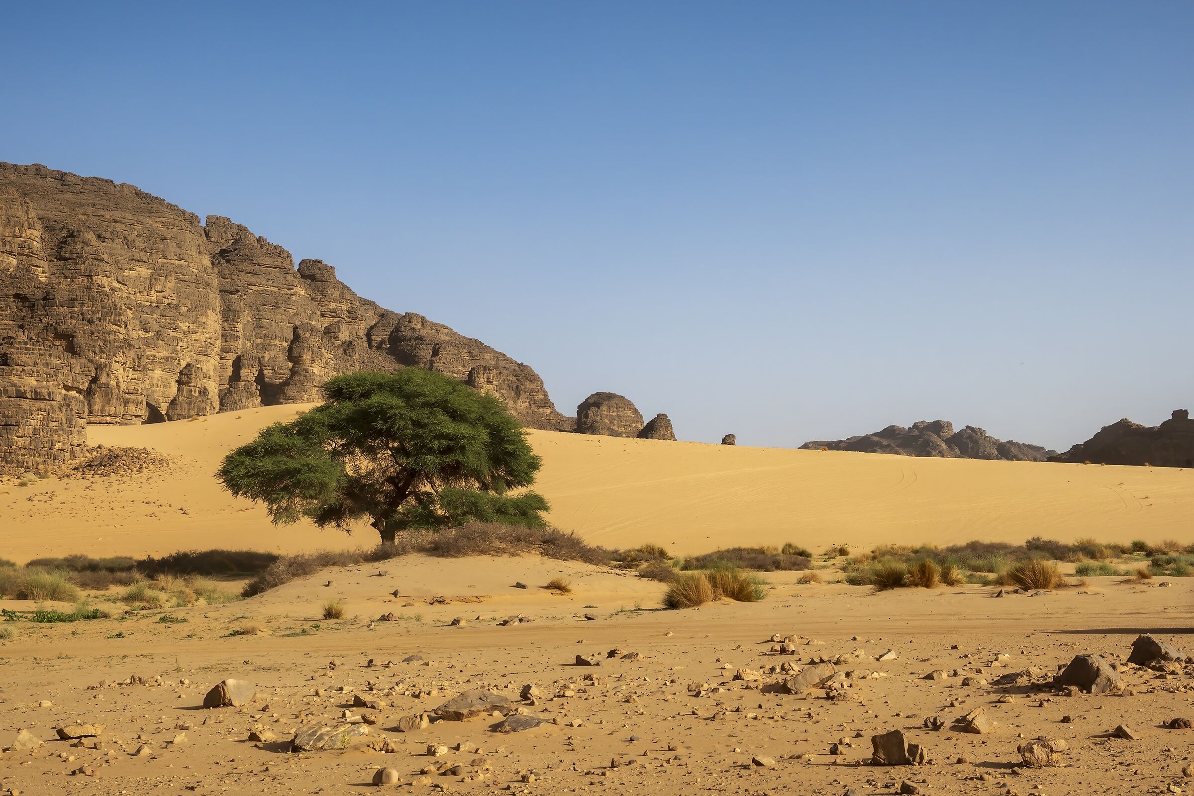 desert