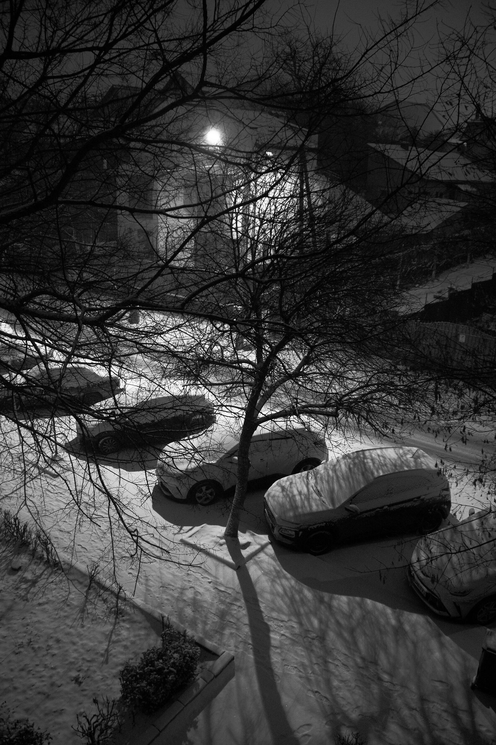 La prima neve notturna