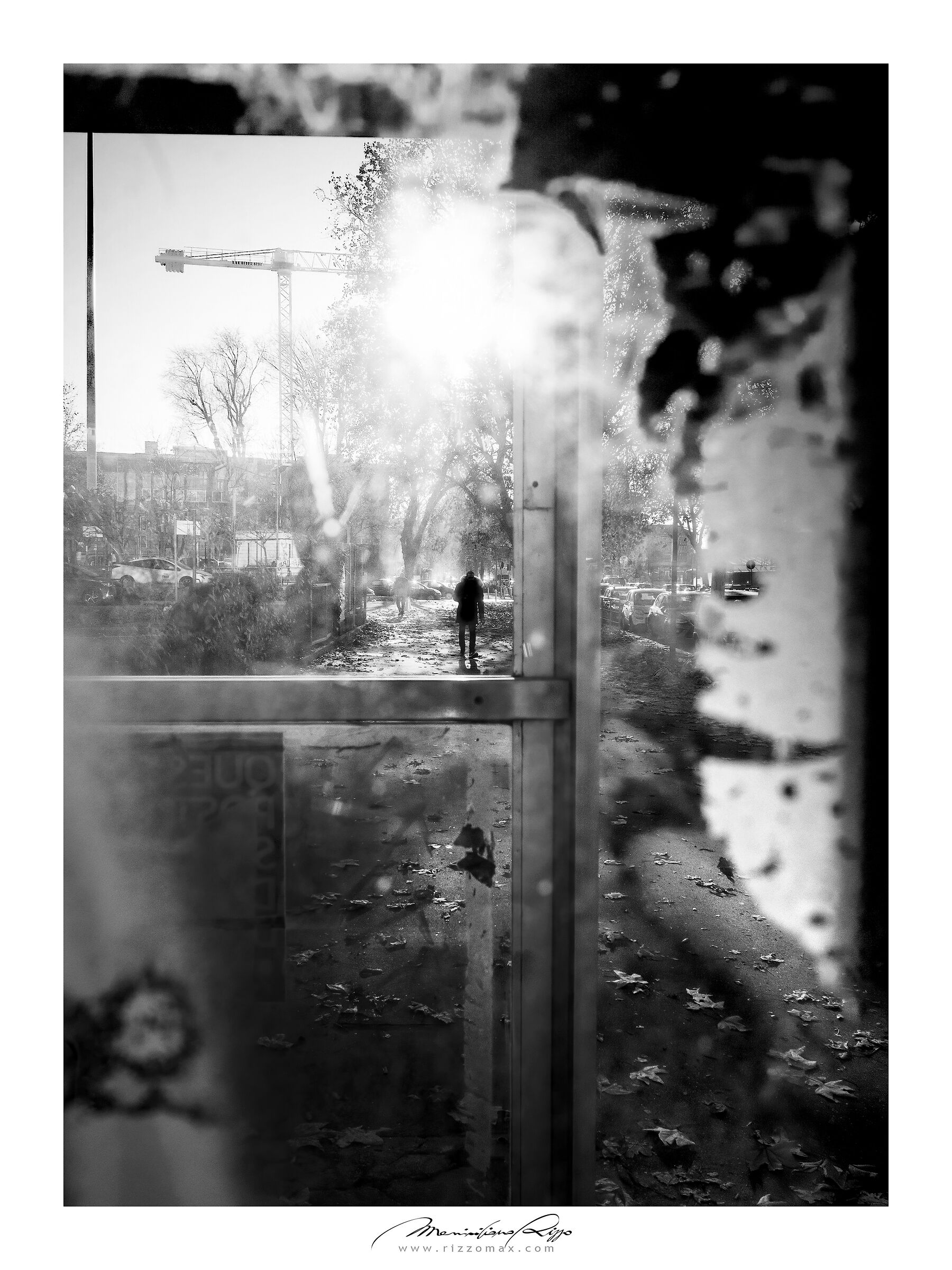 Untitled Photo