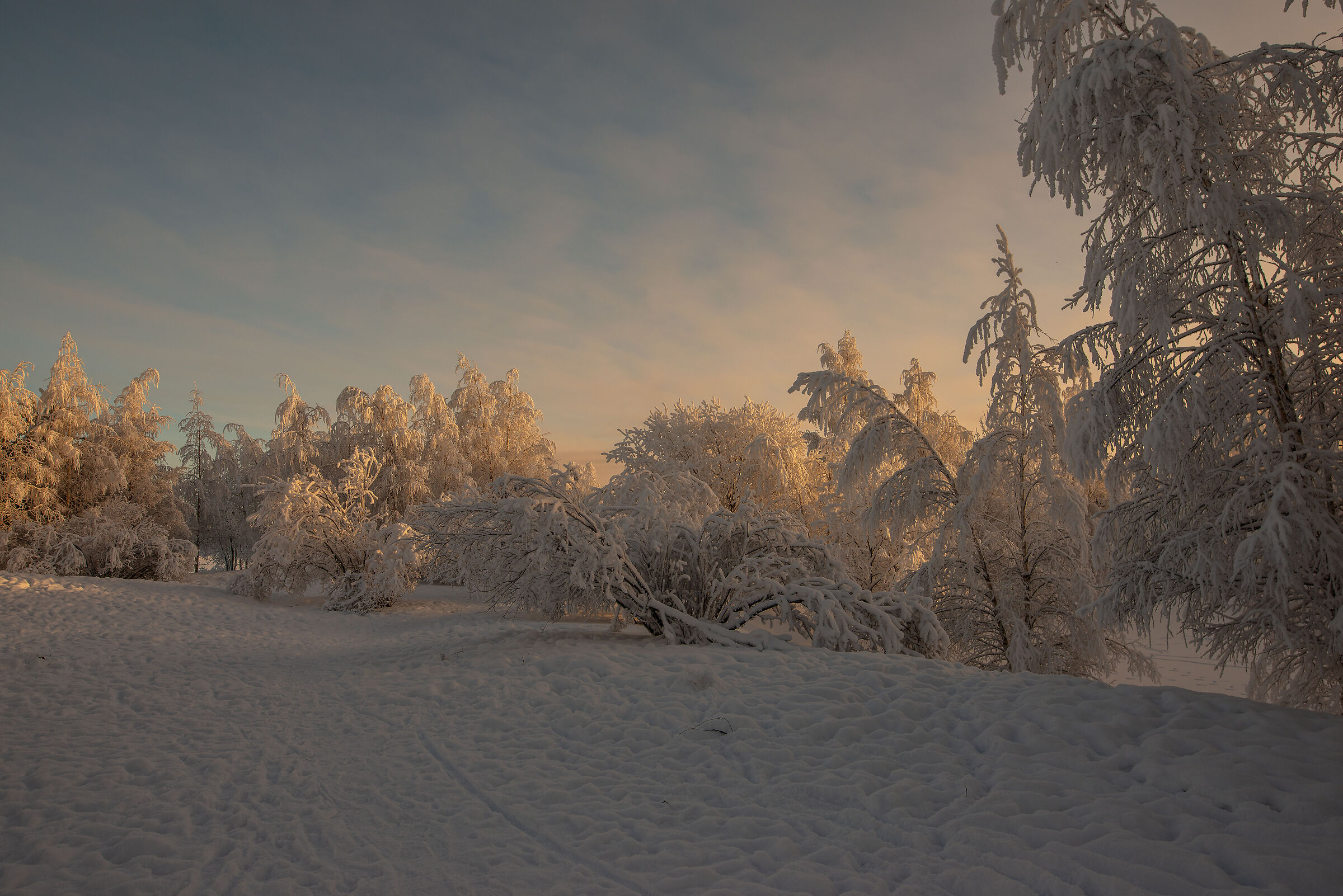 Dove porta l'inverno