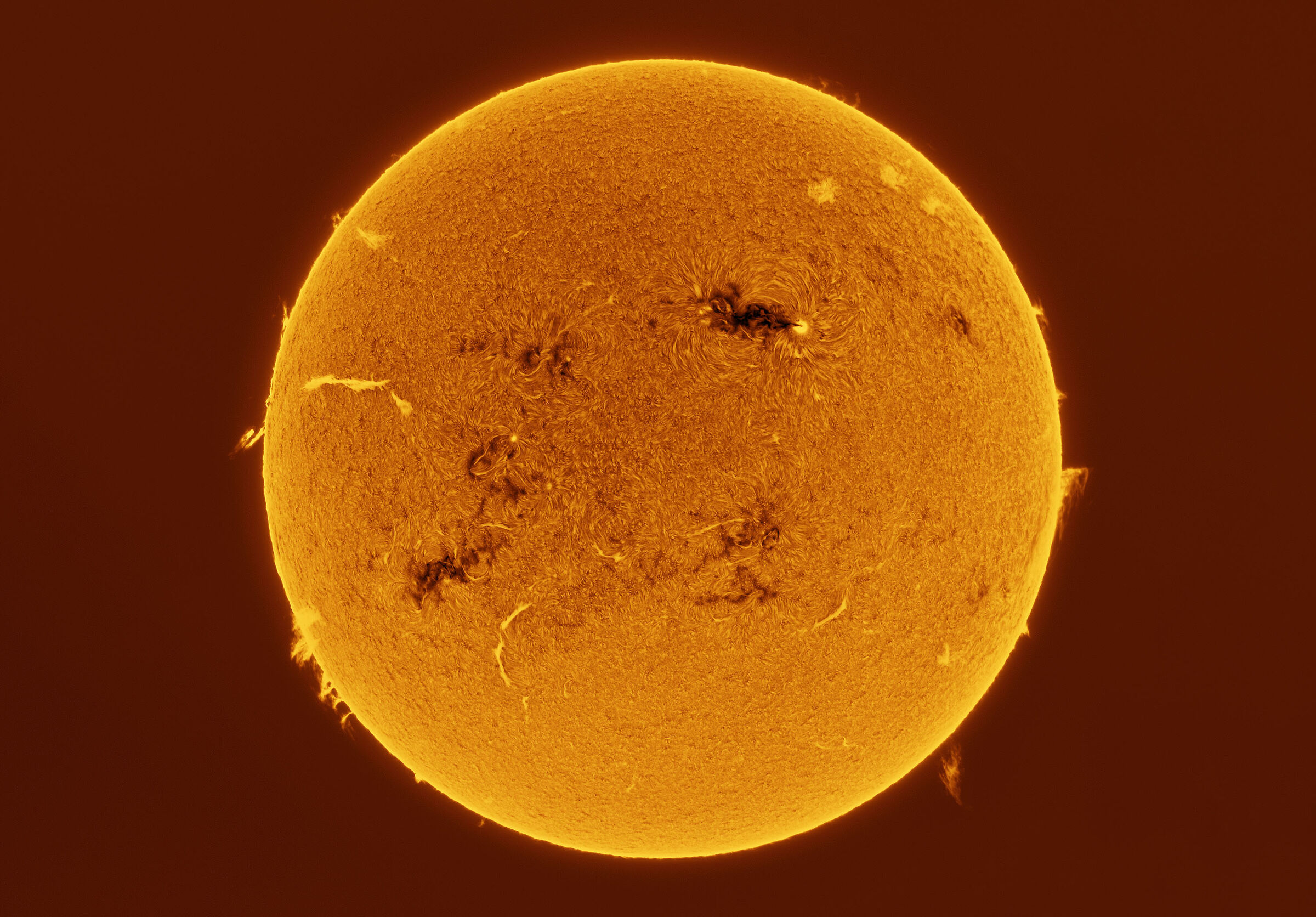 Il Sole di oggi (05.02.2026)