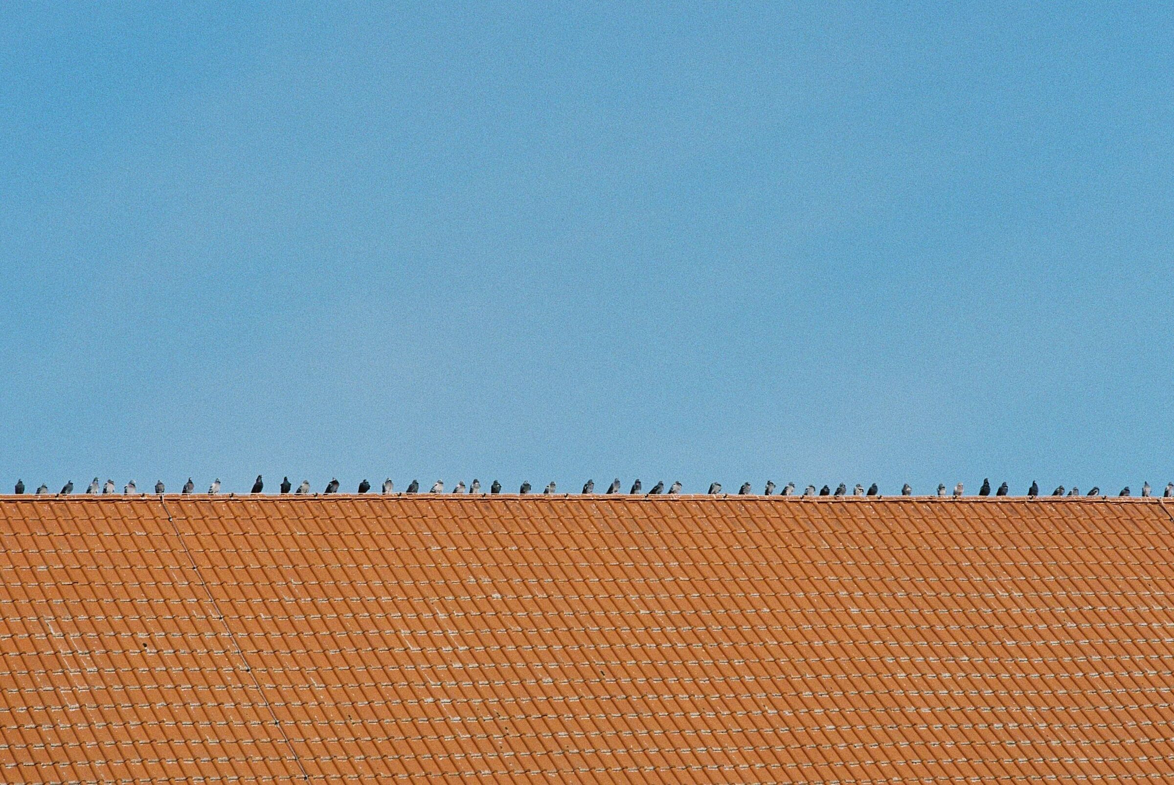Popolazione