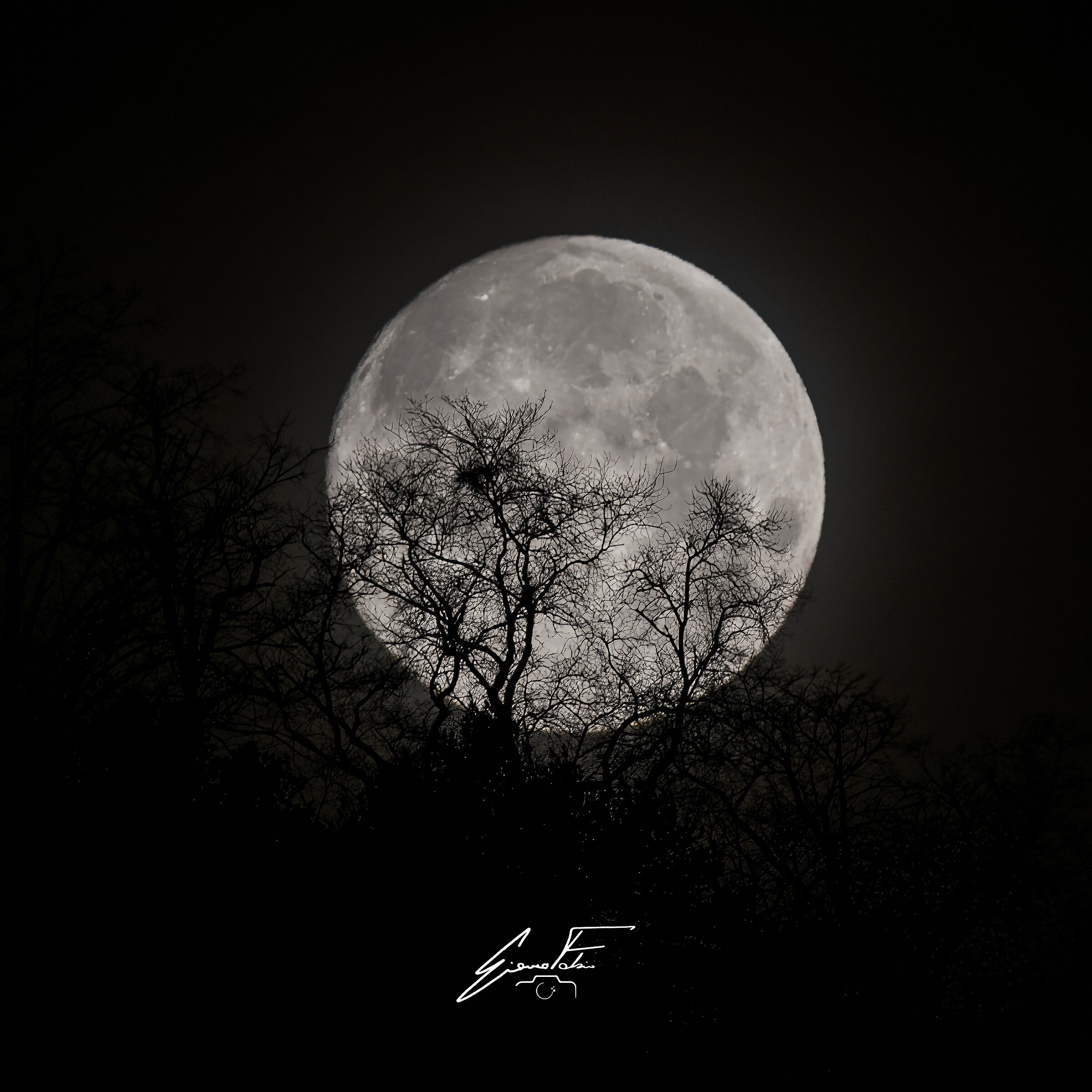 The full moon of snow