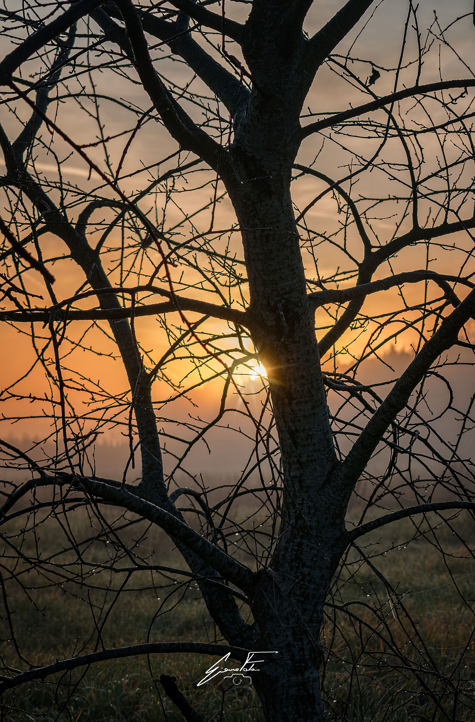 Winter sunrise