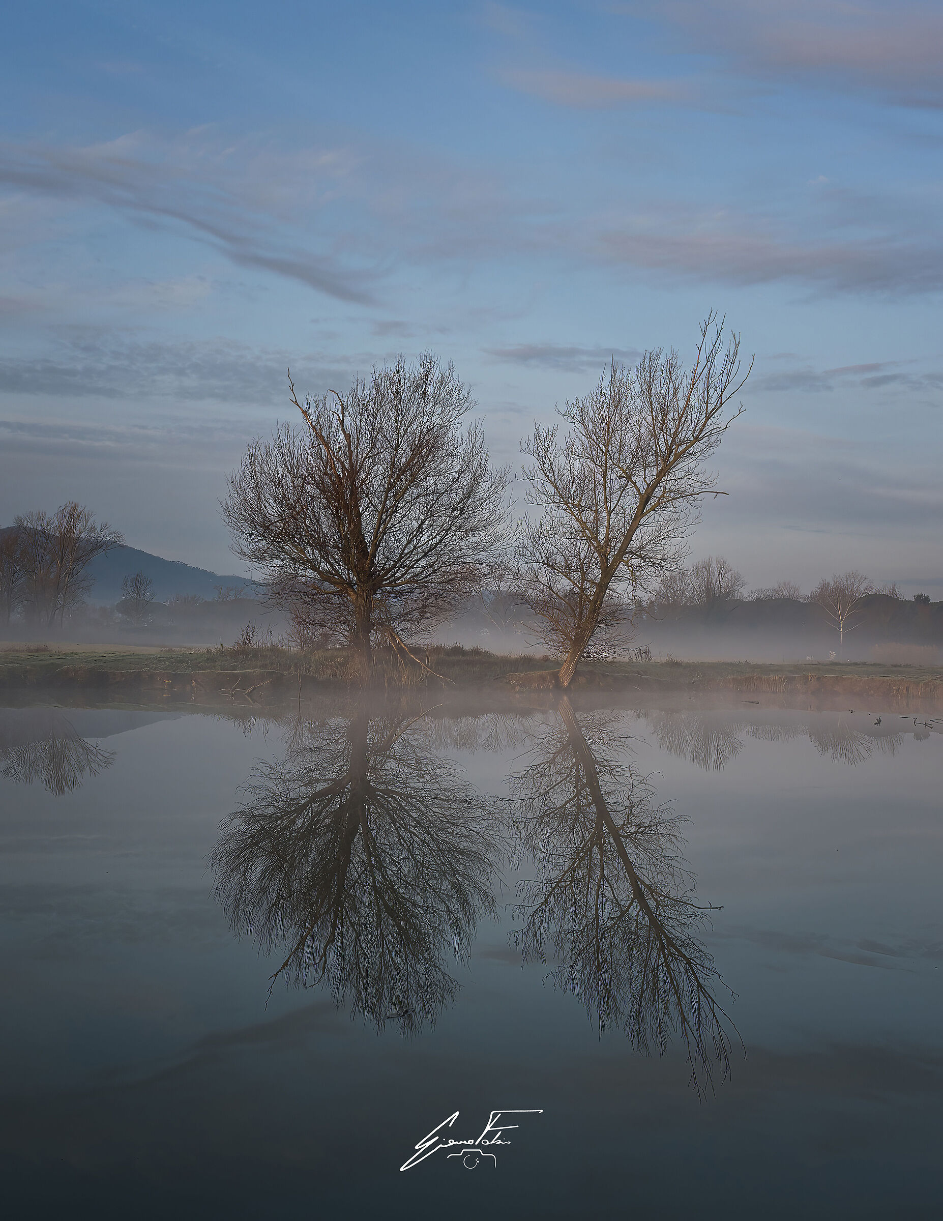 Winter reflections