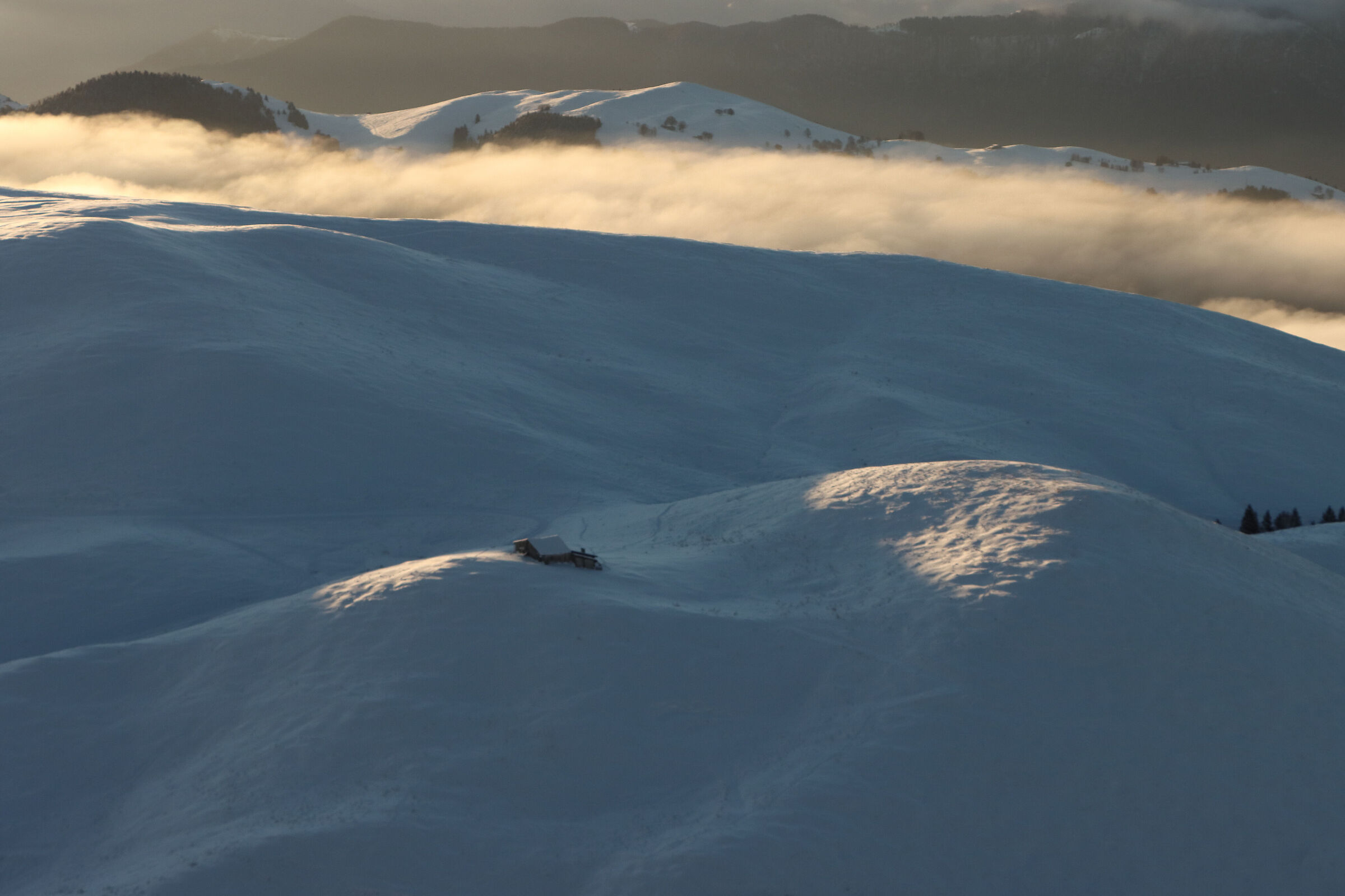 magnificent solitude