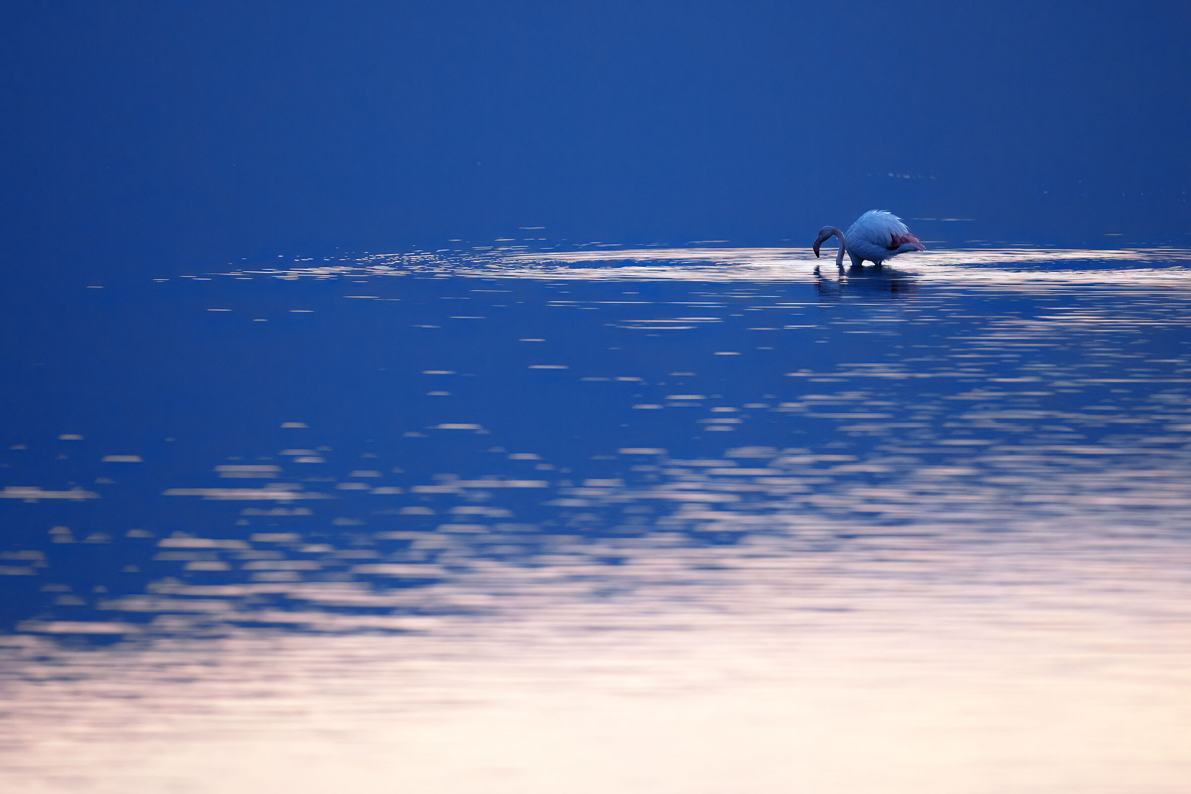 Pink and blue sunset
