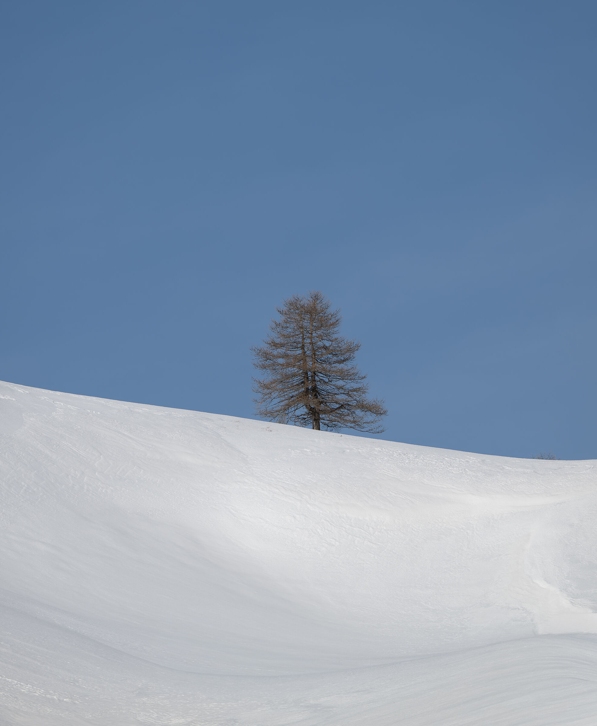 minimal