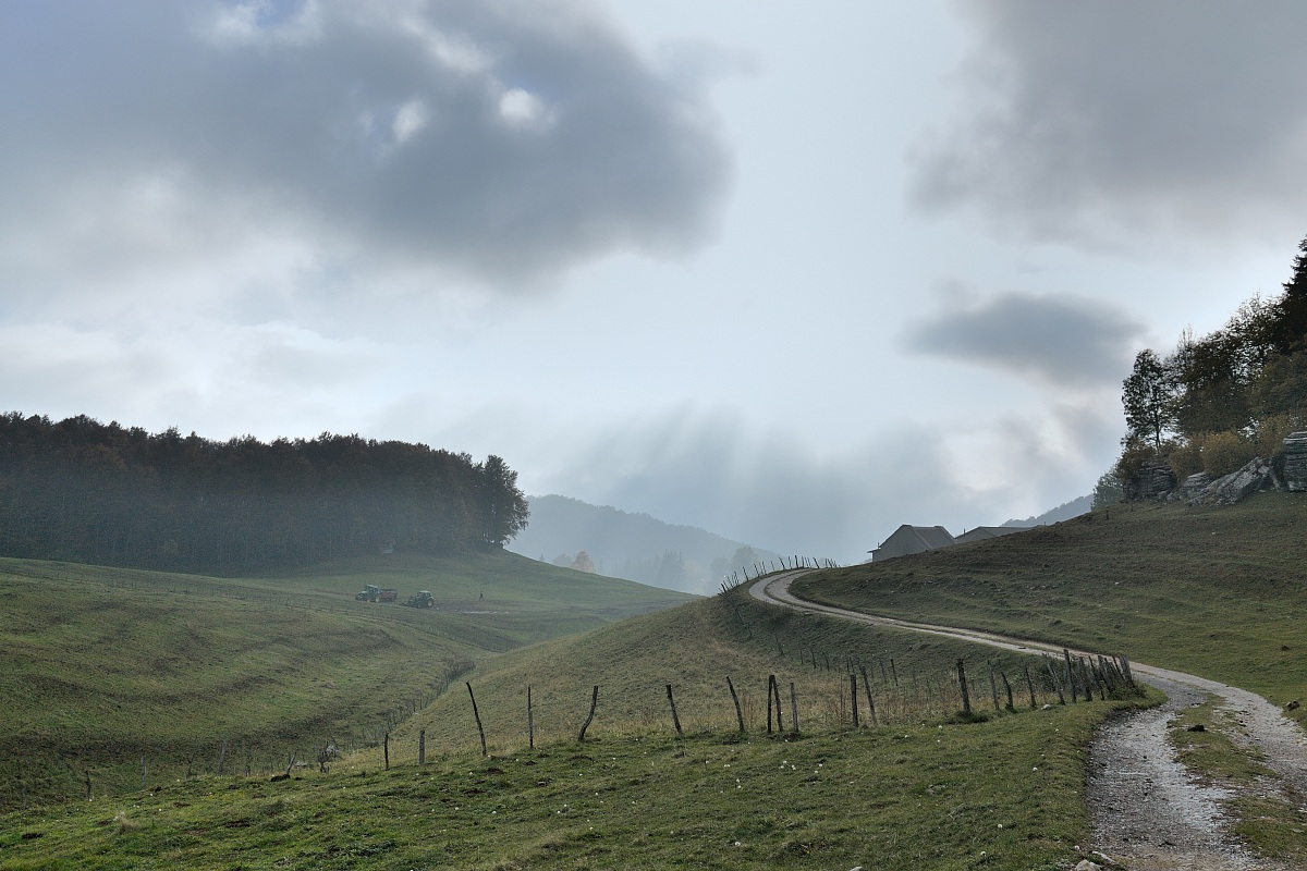 Composizione agreste