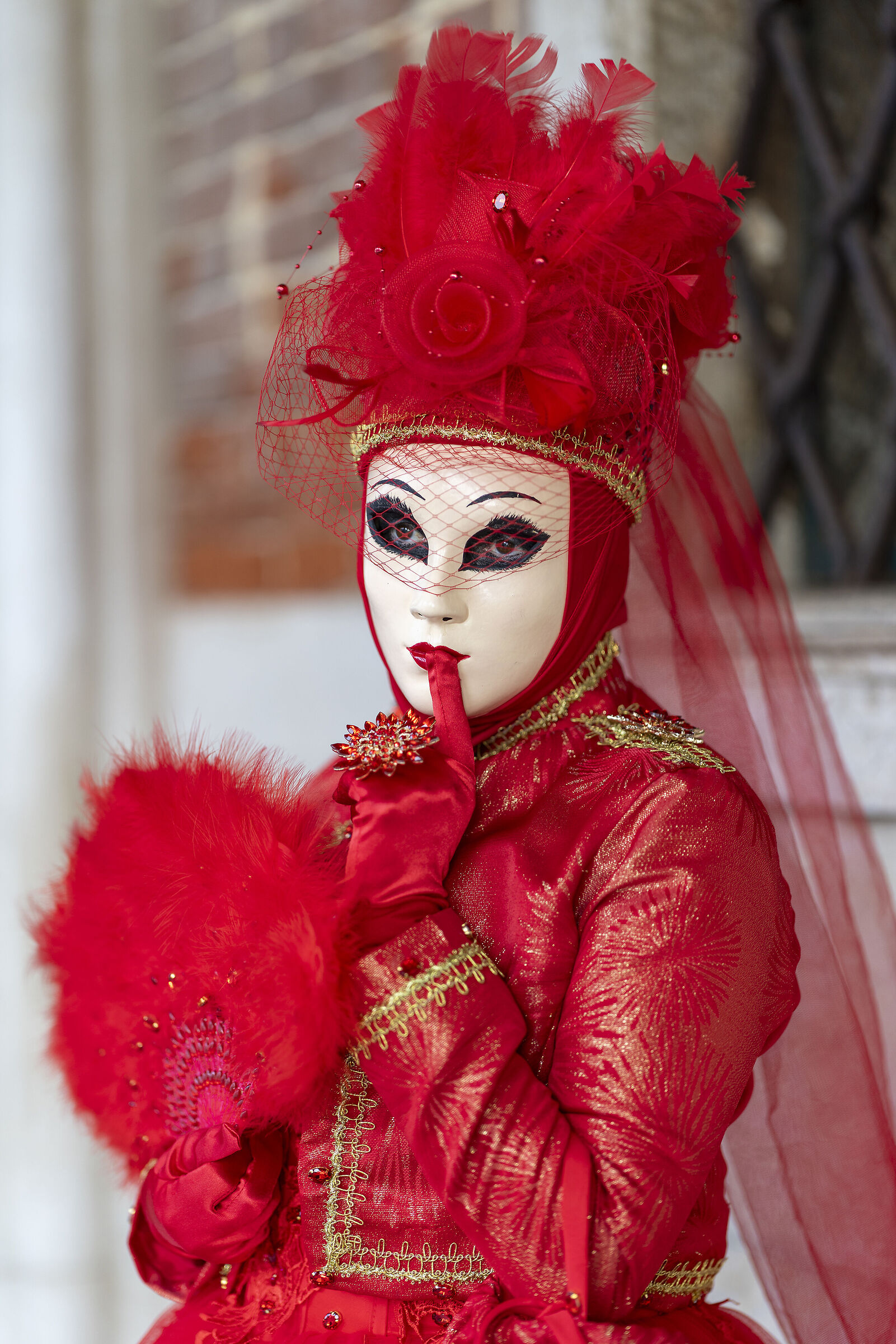 Carnival 2026 test rf 85 f 1.4