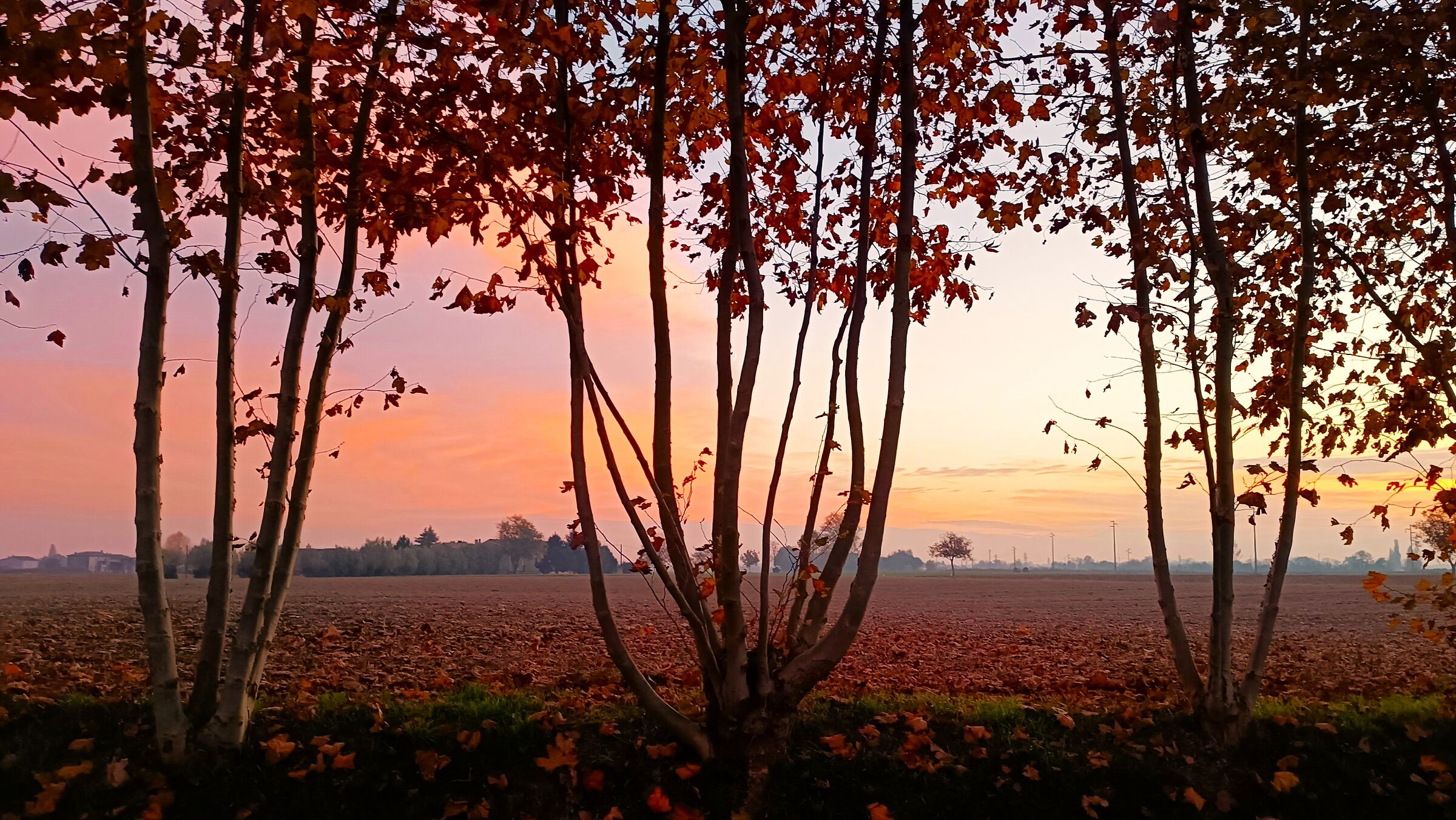 Veronese countryside at sunset