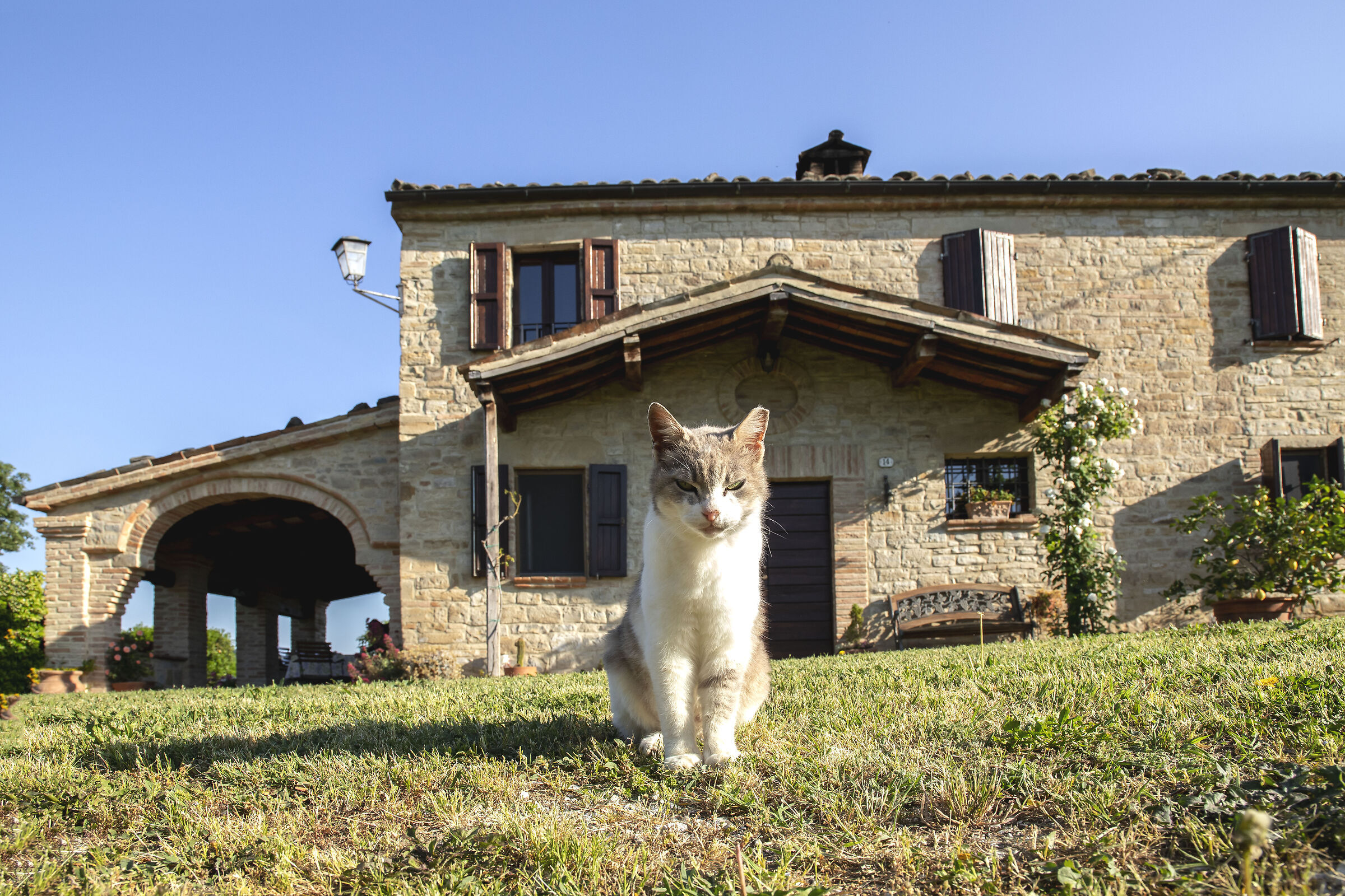 Landlord... (4 photos)