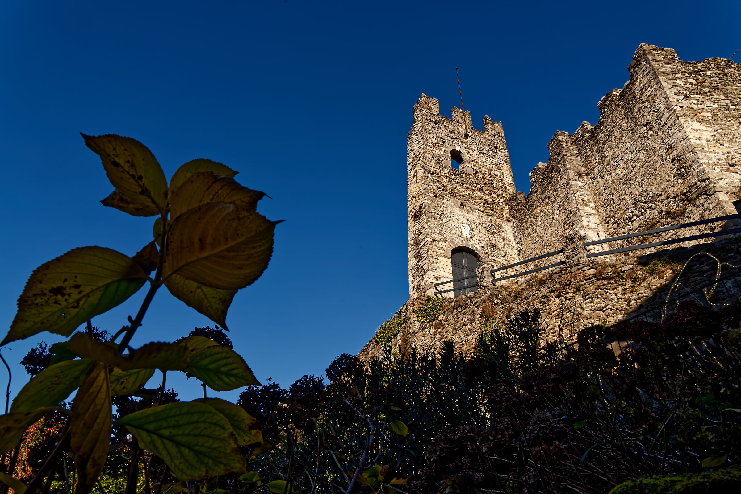 Corenno Plinio (LC), 2025