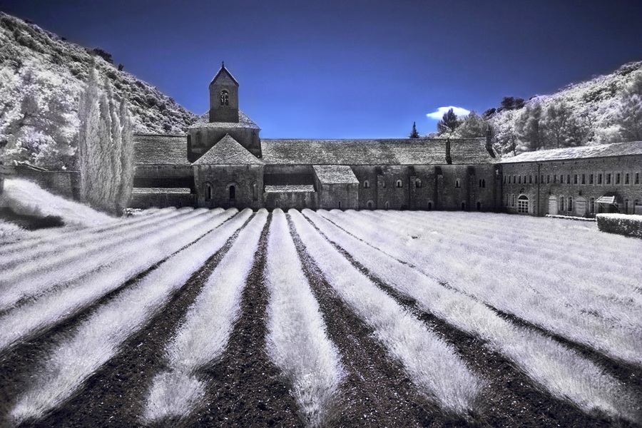 Infrarosso di Notre-Dame de Sénanque, Provence.