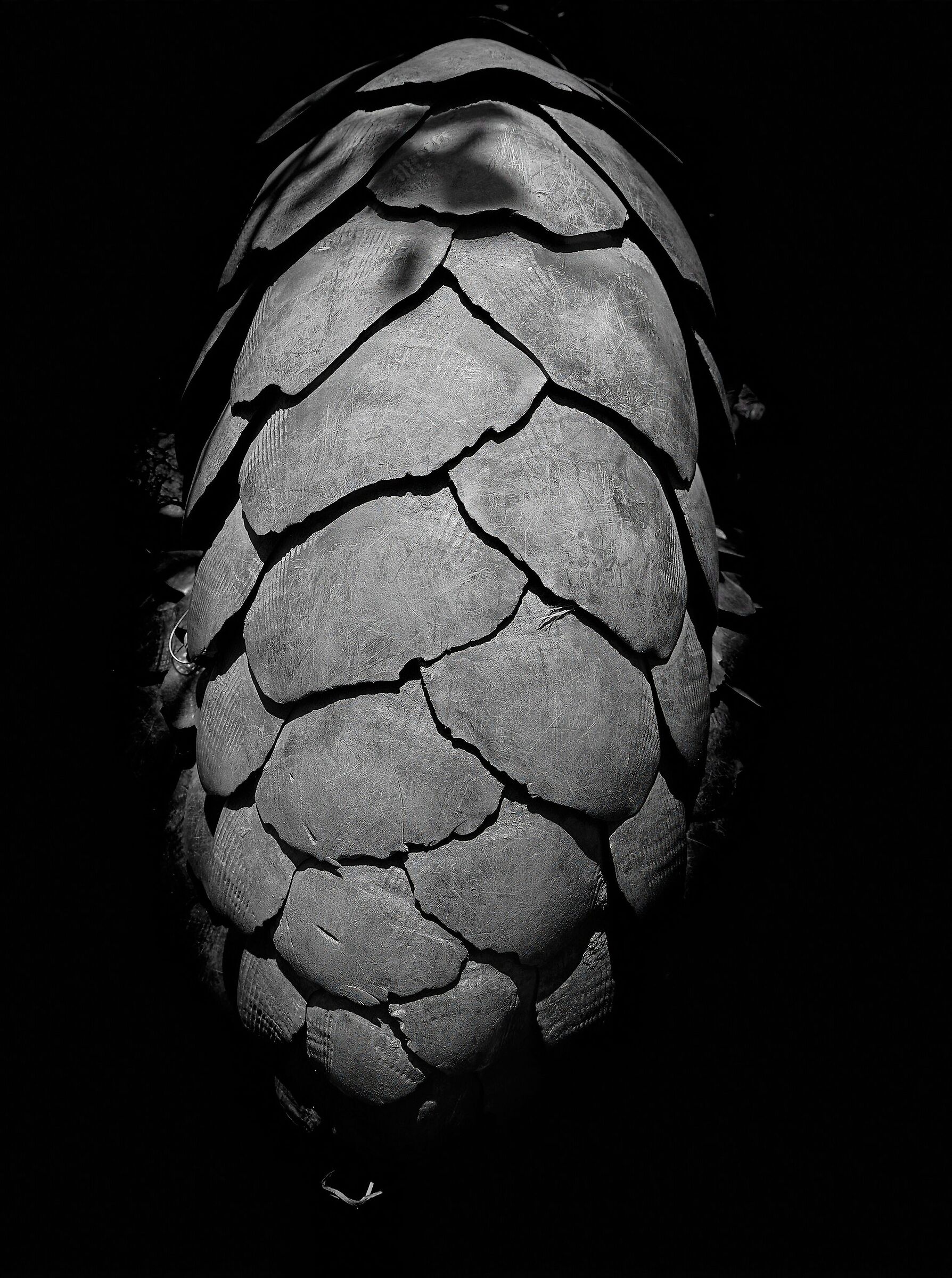 Pango 2 Theme Variations