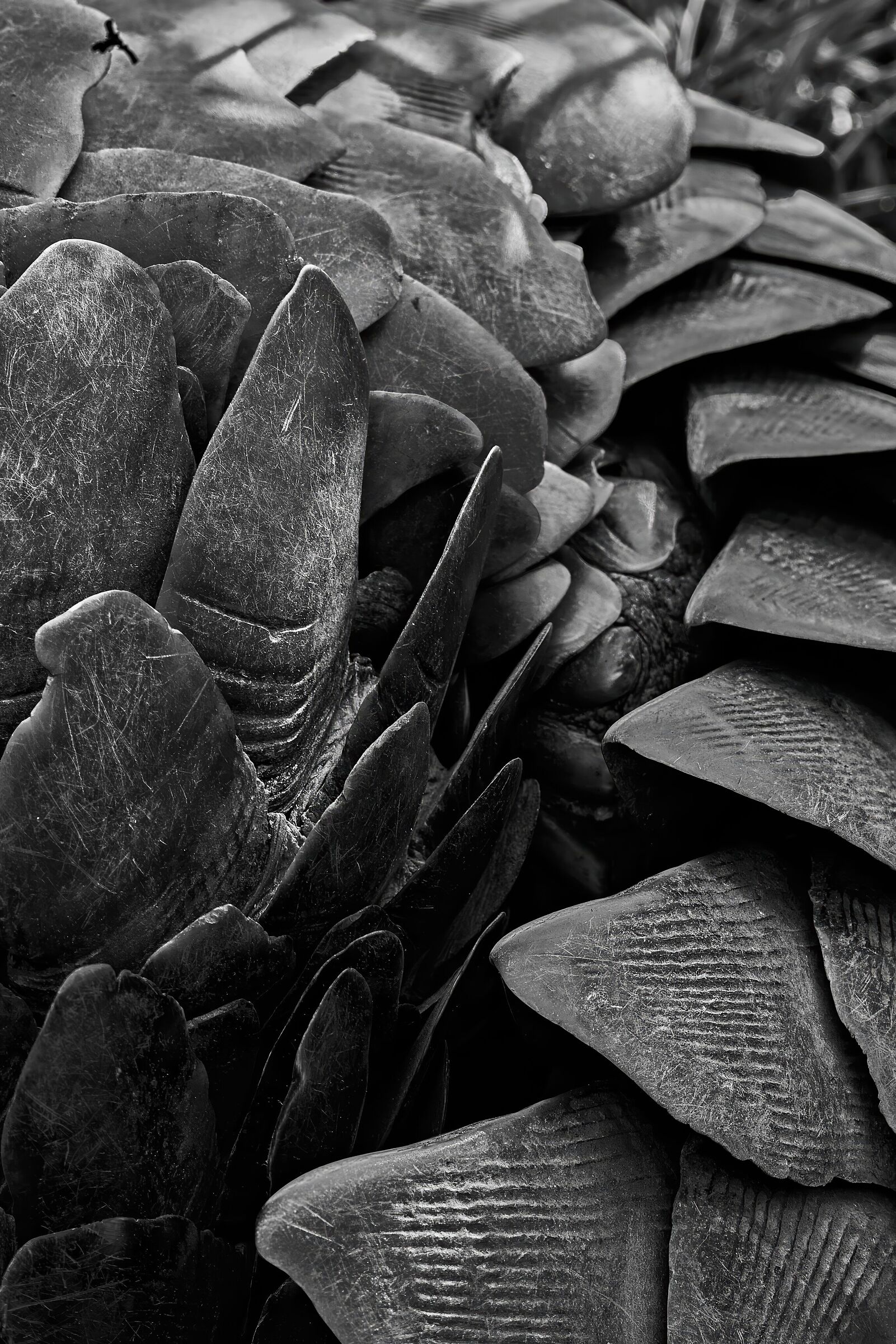 Variations on the Pango 3 theme