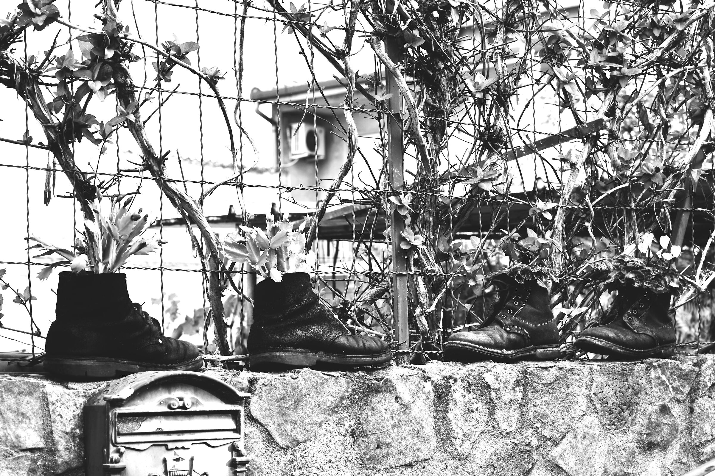 Quando le scarpe lavorano...