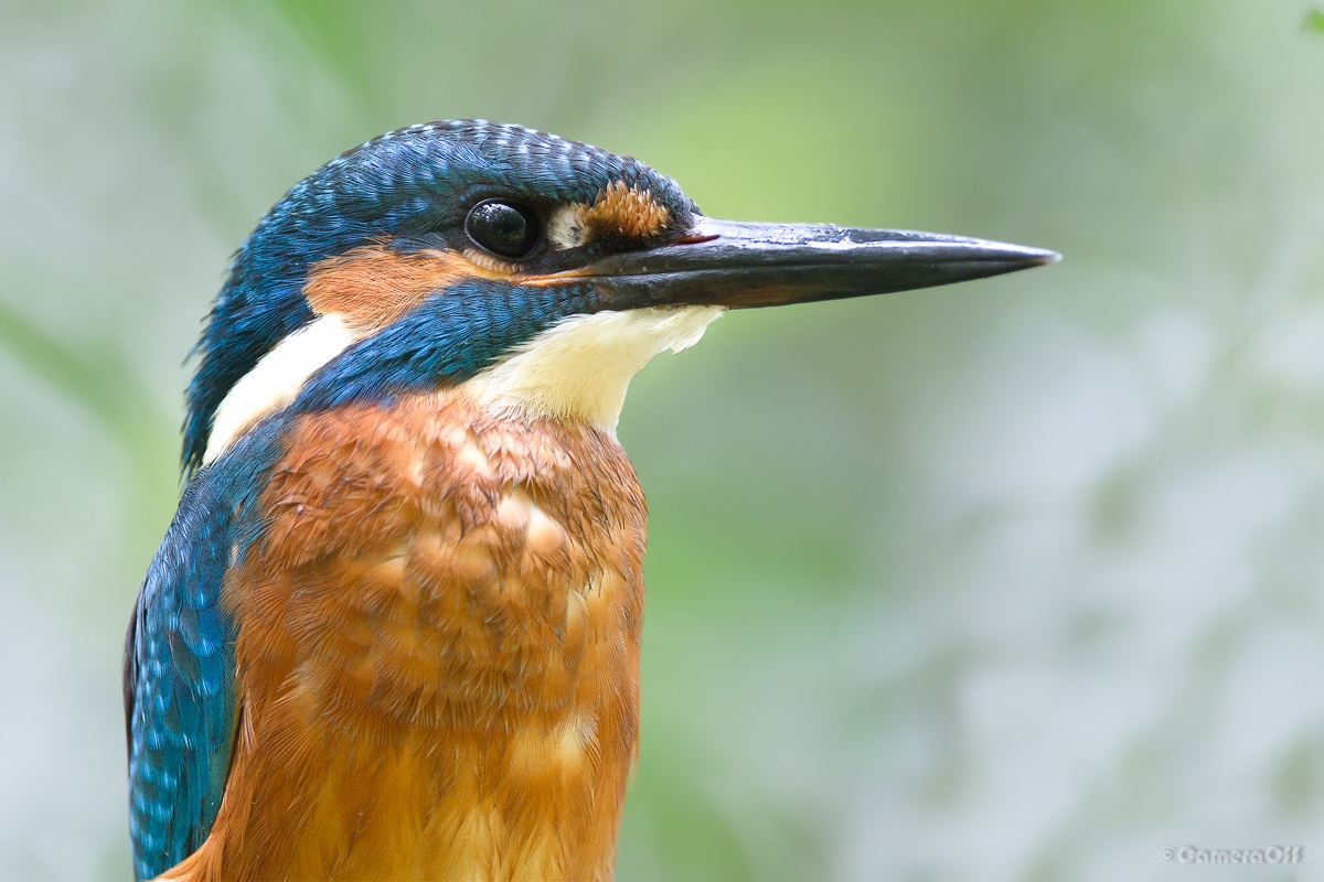 I know model shooting